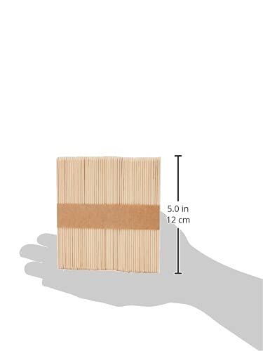 ARK Craft Wooden Lollipop Craft Sticks - 100 Pack, Natural Color | Woodcraft Model Making 4