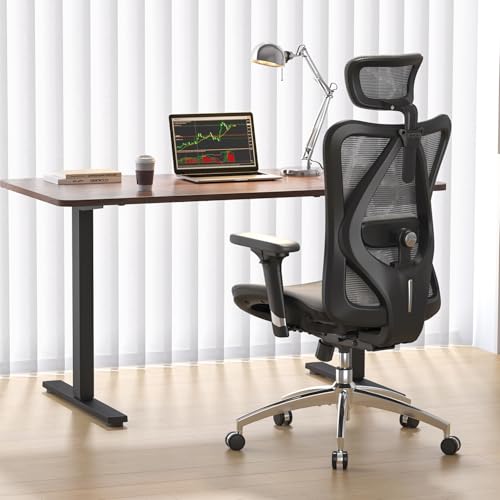 SIHOO M57 Ergonomic Office Chair Mesh Desk Chair with Adjustable Lumbar Support | Grey