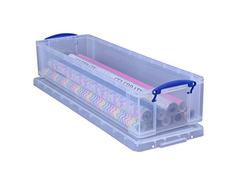 Really Useful Box Plastic Storage Box - 22 Litre Capacity, Clear, Pack of 2 2