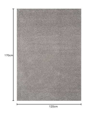 THE RUGS Shaggy Area Rug - Soft Polypropylene for Living Room & Bedroom | 120 x 170 cm Grey 2