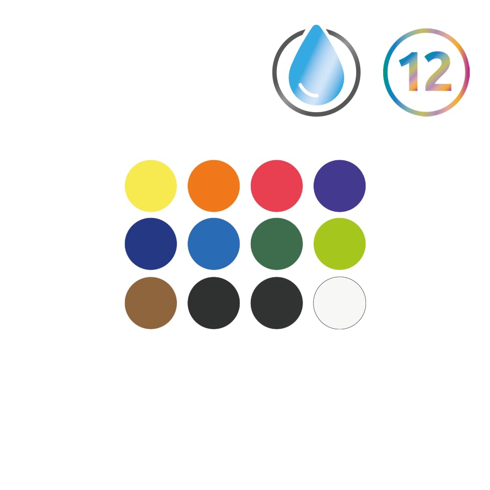 Derwent Watercolour Paint Pan Set - 12 Half Pans | Ultra-Smooth Finish | Includes Waterbrush 4