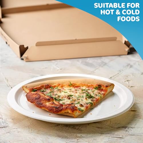 iSOUL Heavy Duty Bagasse Disposable Paper Plates - 10 Inch Compostable & Microwave Safe 4