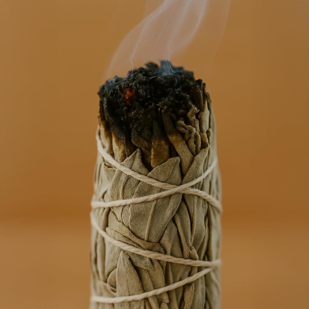 VIE White Sage Smudge Stick - 4 Inch, Hand-Tied for Energy Cleansing & Meditation 2