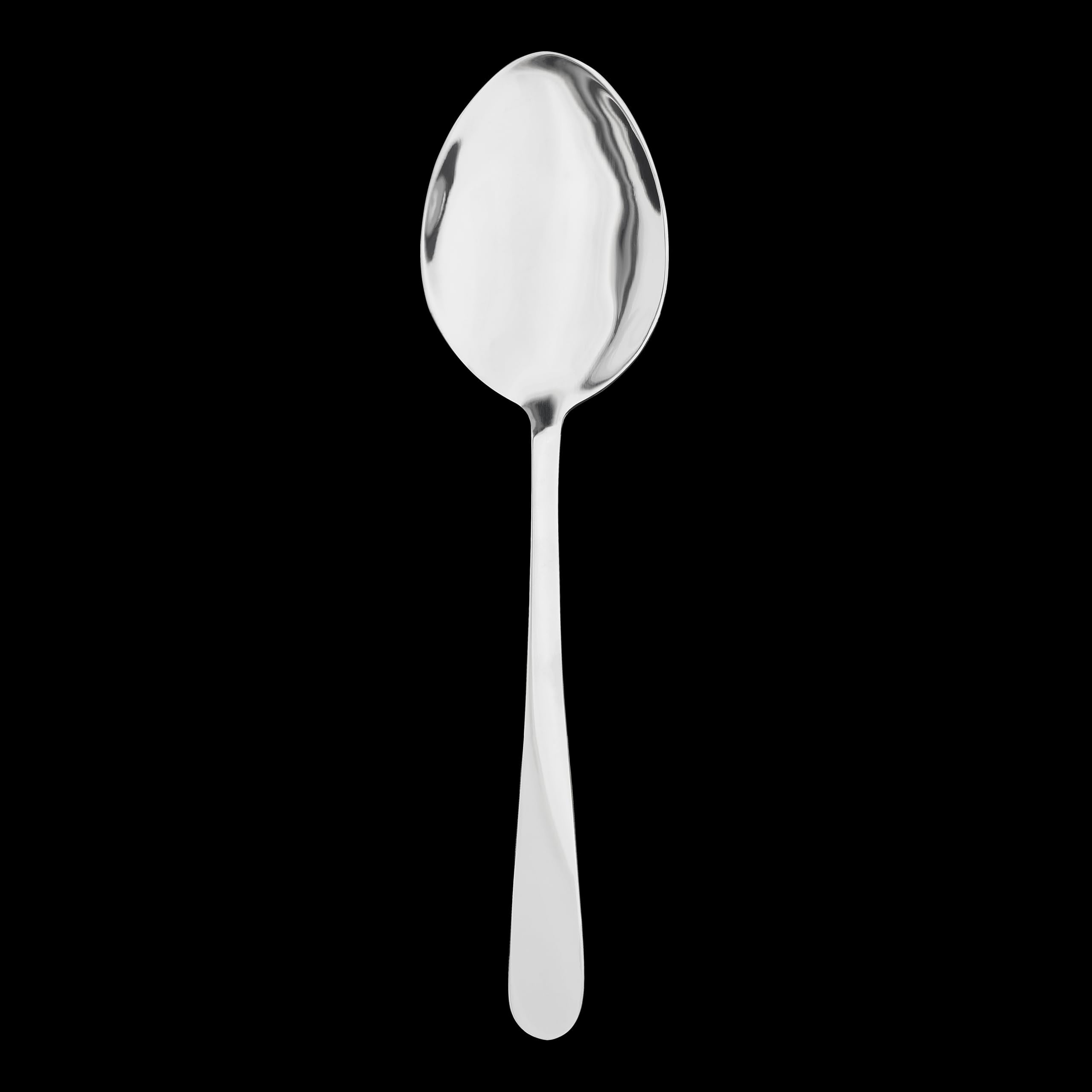 Tala Performance Stainless Steel Serving Spoons - Premium 2 Piece Set | Dishwasher Safe 9