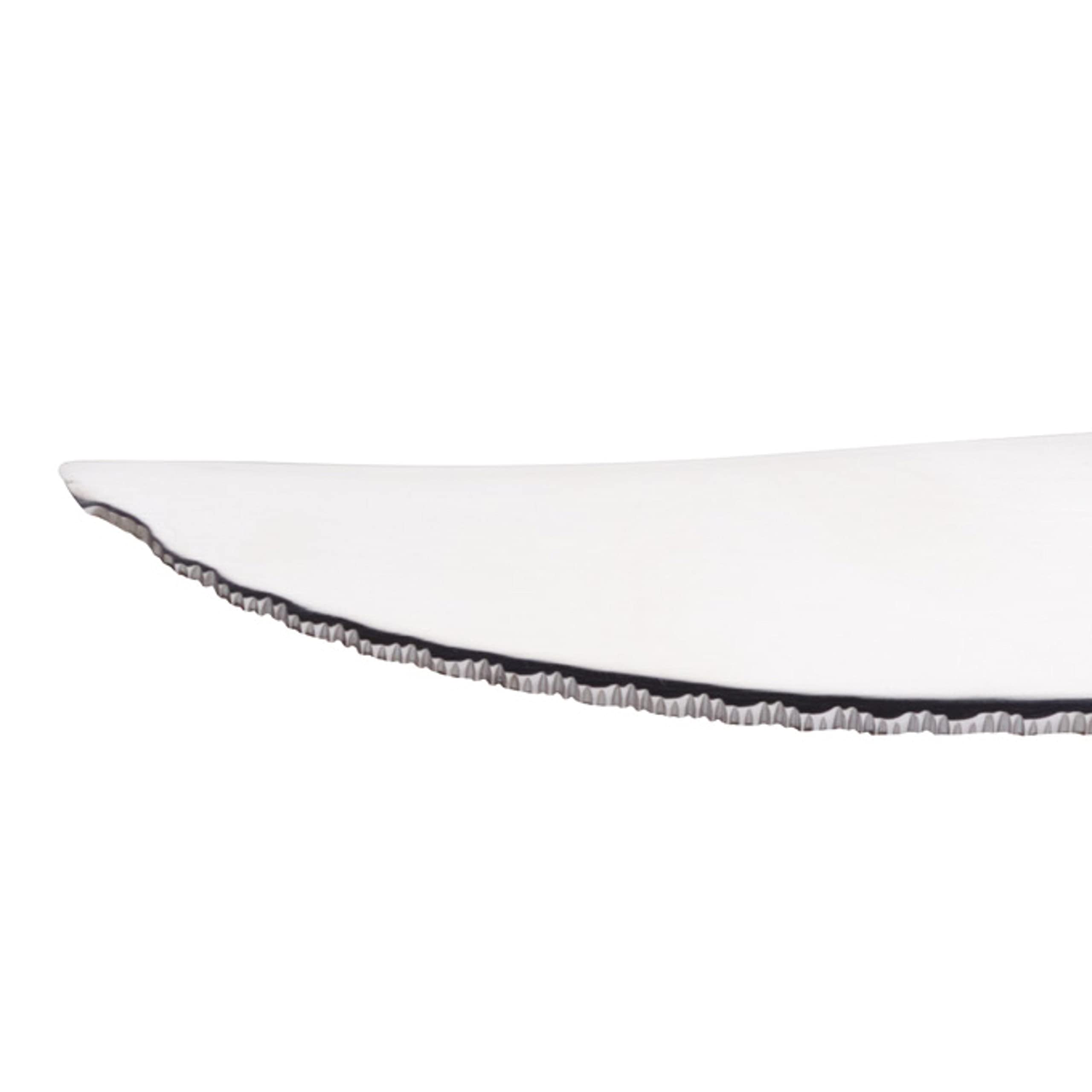 MasterClass Stainless Steel Serrated Steak Knives Set of 2 | Stain & Corrosion Resistant | 22.5cm 6