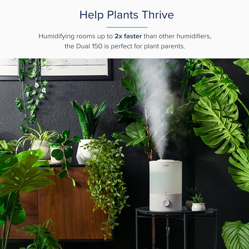 Levoit Dual 150 Humidifier & Diffuser - 3L Tank, 25-Hour Run Time, Ultra-Quiet Operation 10