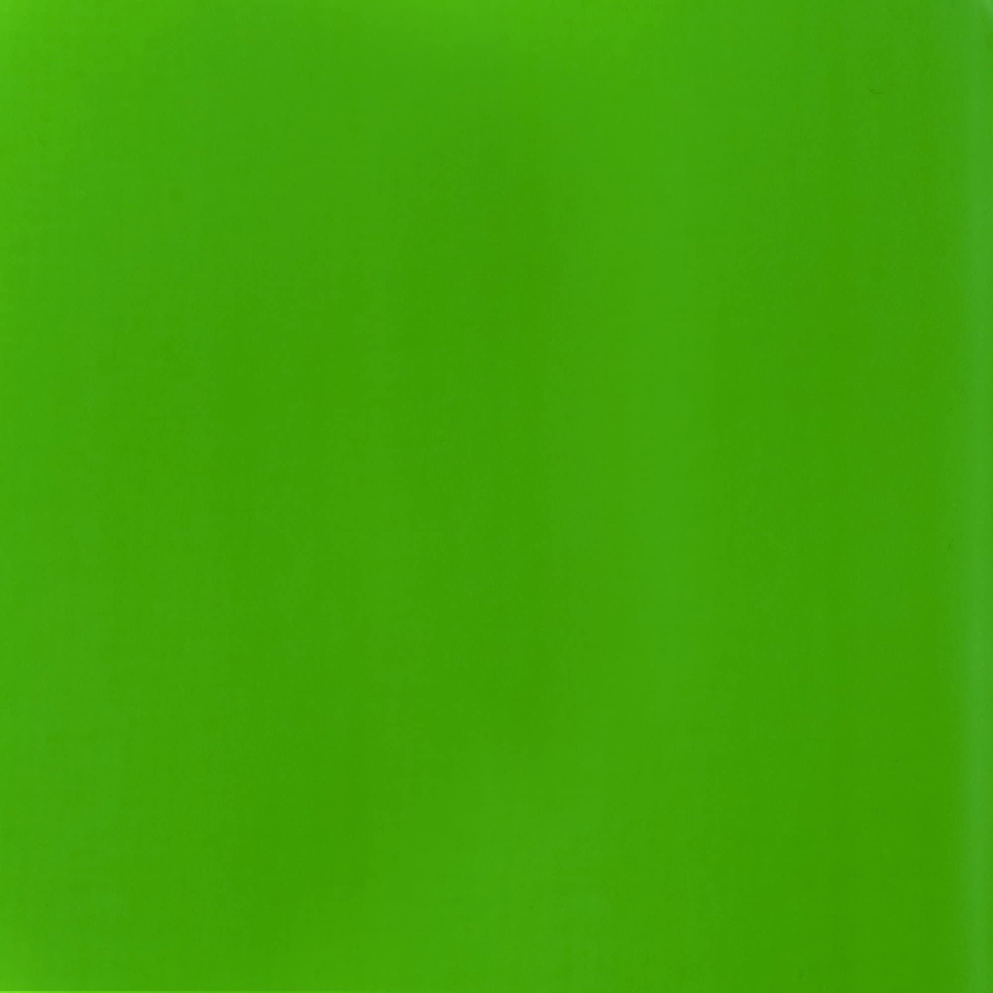 Liquitex Basics Acrylic Paint - Fluorescent Green | 118 ml Tube | Archival Quality 2