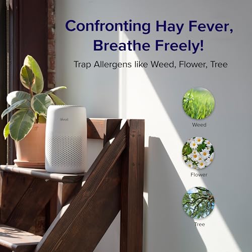 Levoit Core Mini Air Purifier for Home & Bedroom | 3-Layer HEPA Filter | 34㎡ Coverage | Aroma Pad 10