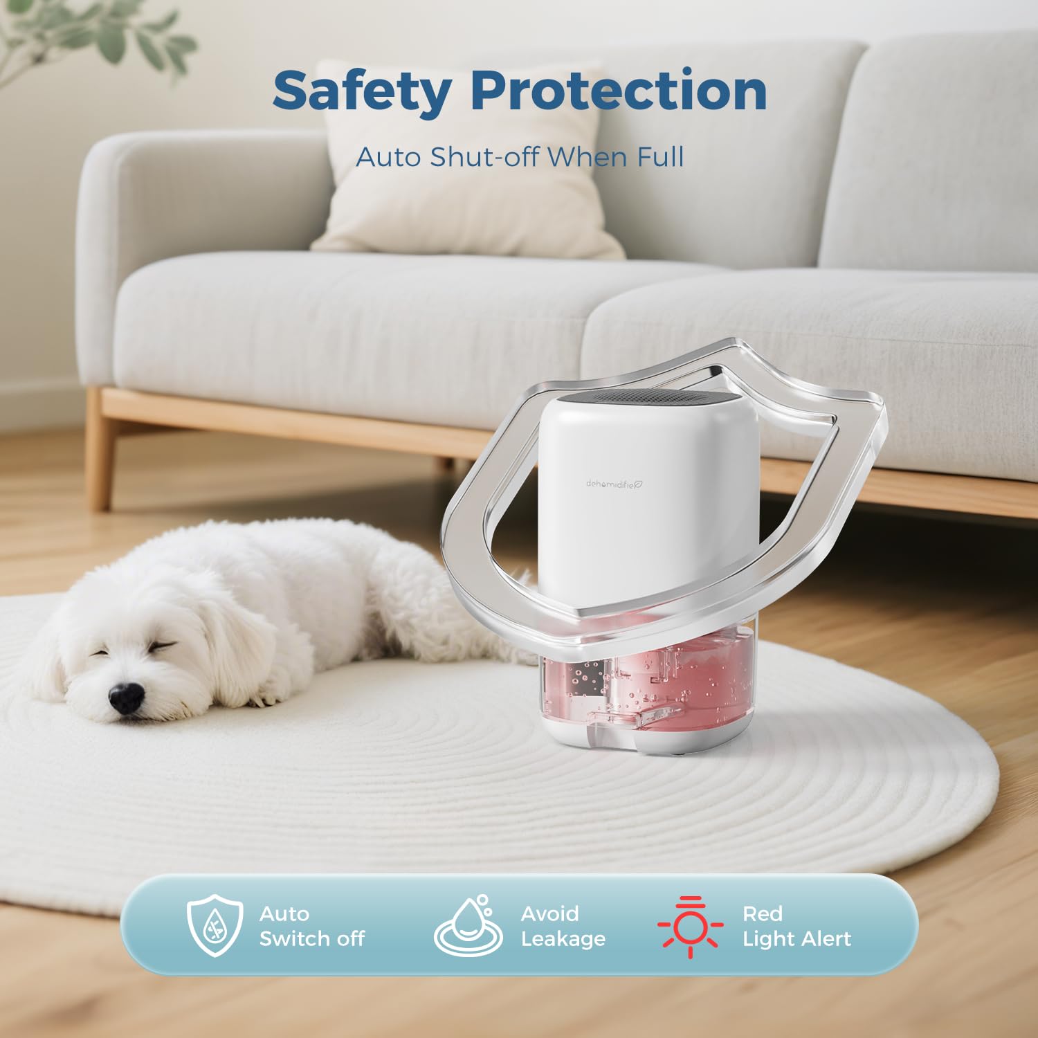 AROEVE 1000ml Dehumidifier for Home - Auto Off, Auto Defrost, Quiet Operation 5
