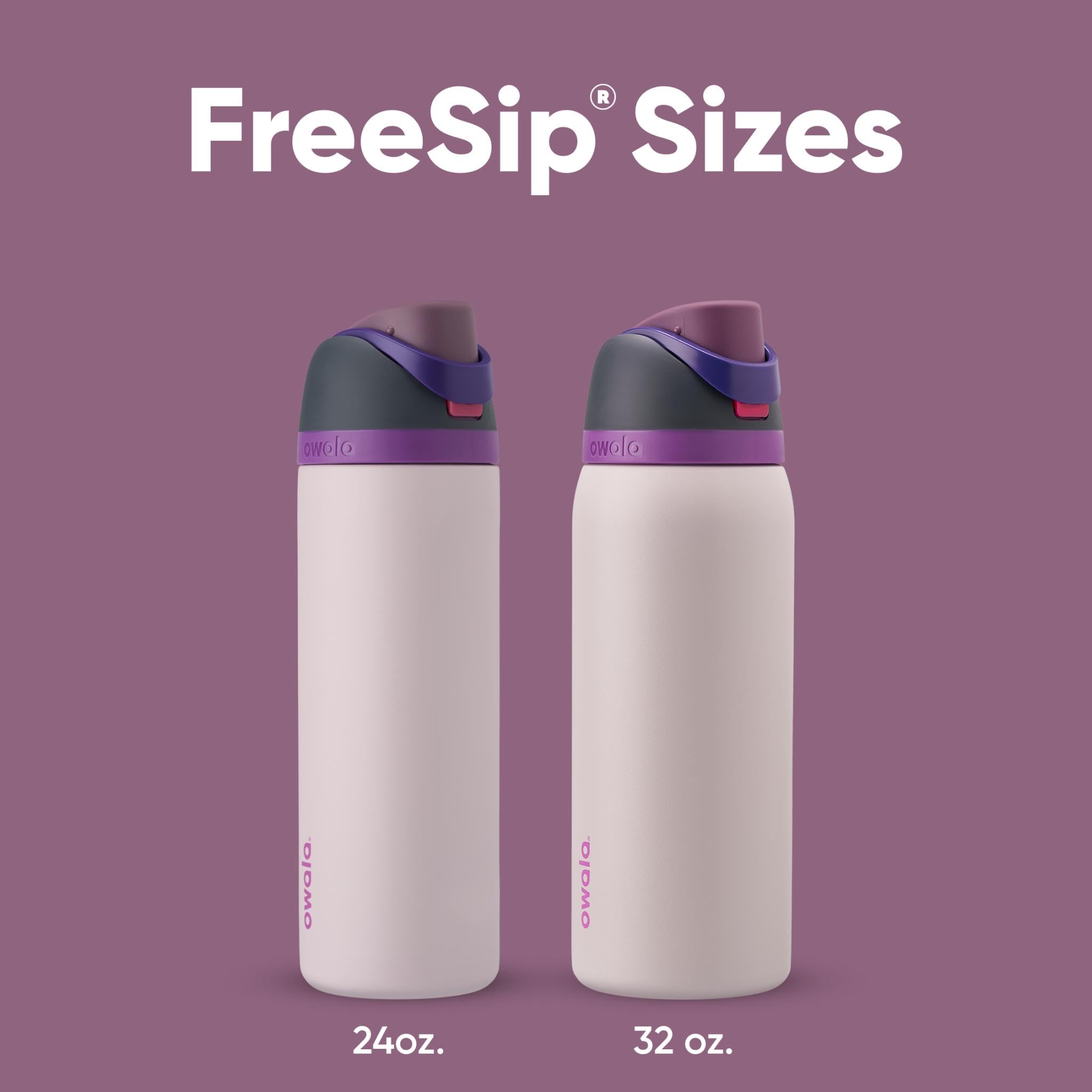 Owala FreeSip Insulated Stainless Steel Water Bottle with Straw, 710ml, Dreamy Field 5
