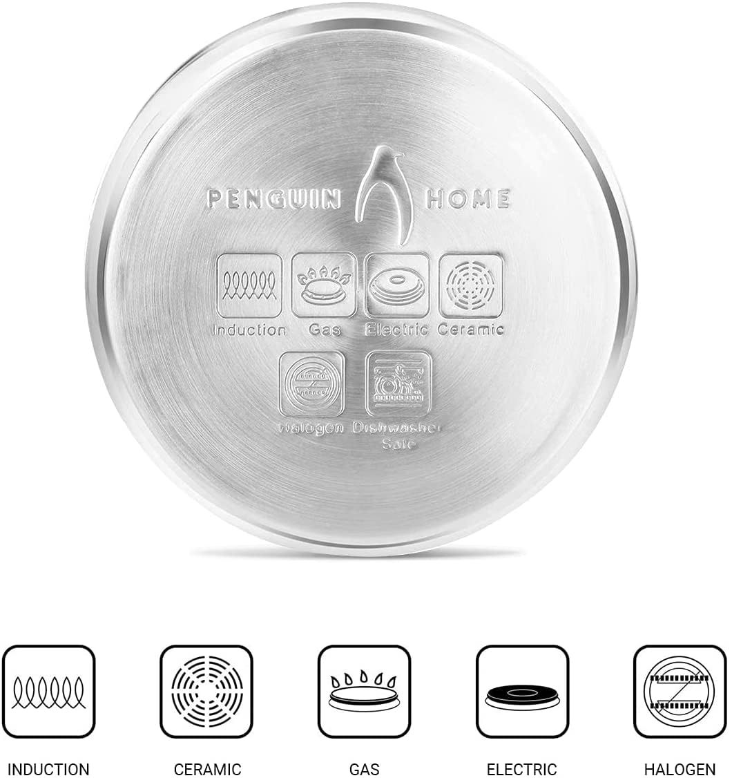 Penguin Home Professional Stainless Steel Milk Pan - 14 cm, 1 L Capacity | Induction Safe 9