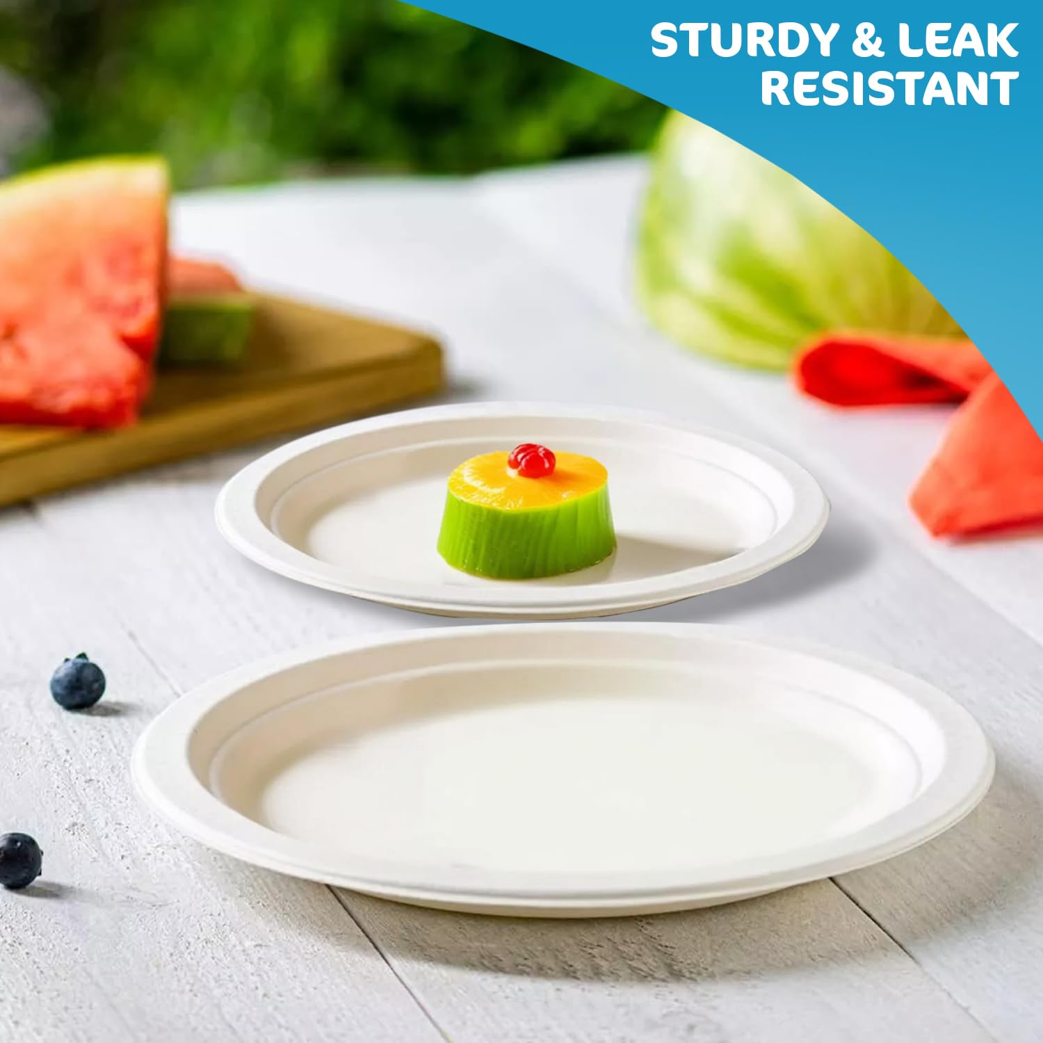 iSOUL Heavy Duty Bagasse Disposable Paper Plates - 9 Inch Compostable & Microwave Safe 5