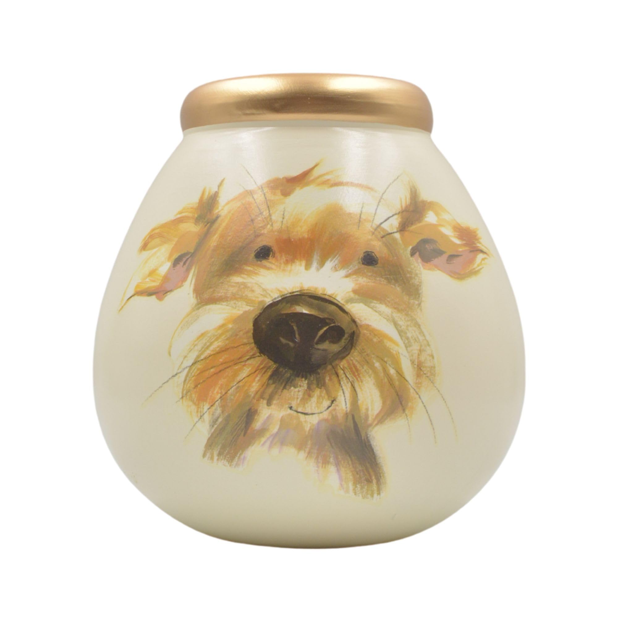 Pot Of Dreams Save And Smash Ceramic Money Box Savings Bank - Dog Design | Holds £1000 in £2 Coins | 14cm 1