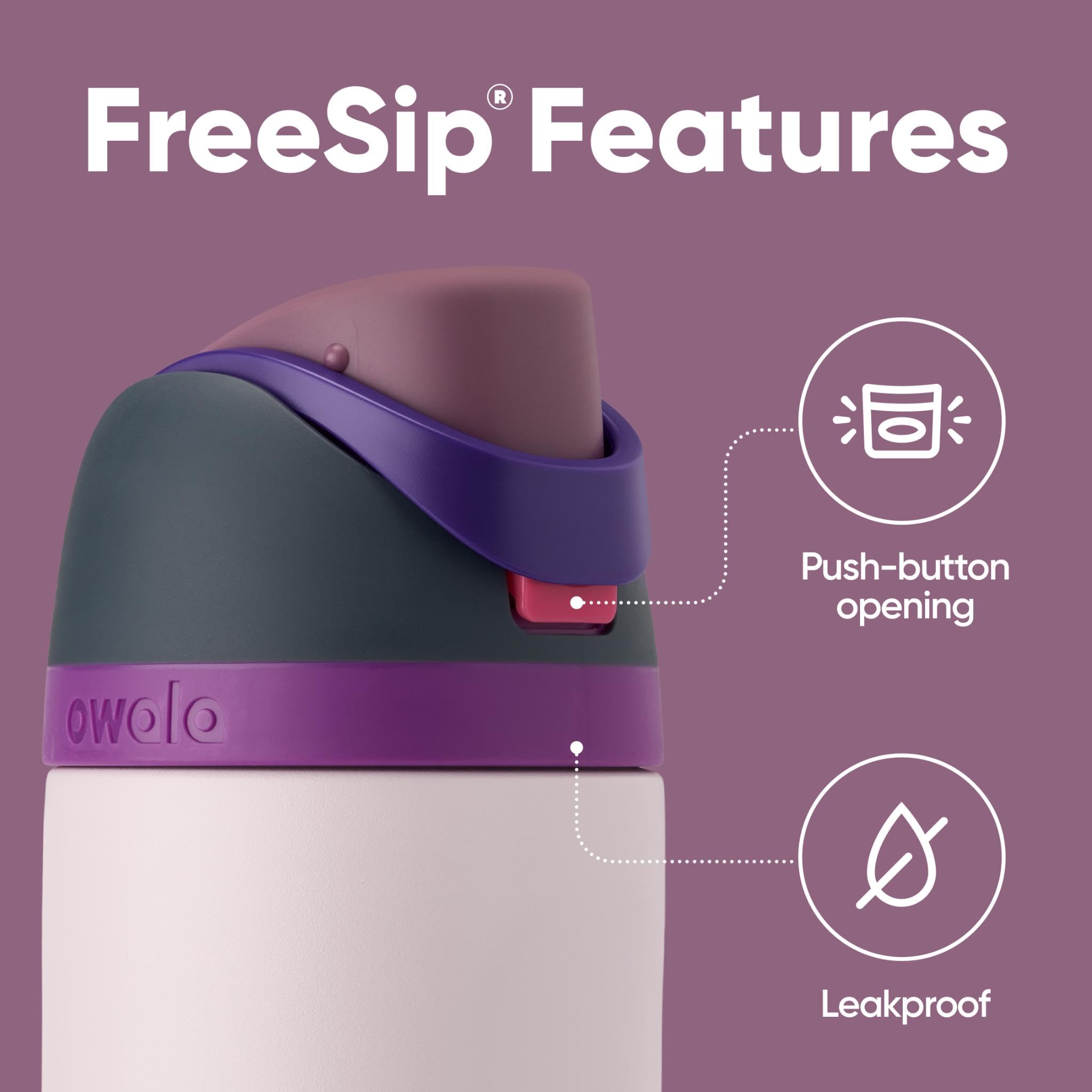 Owala FreeSip Insulated Stainless Steel Water Bottle with Straw, 710ml, Dreamy Field 3