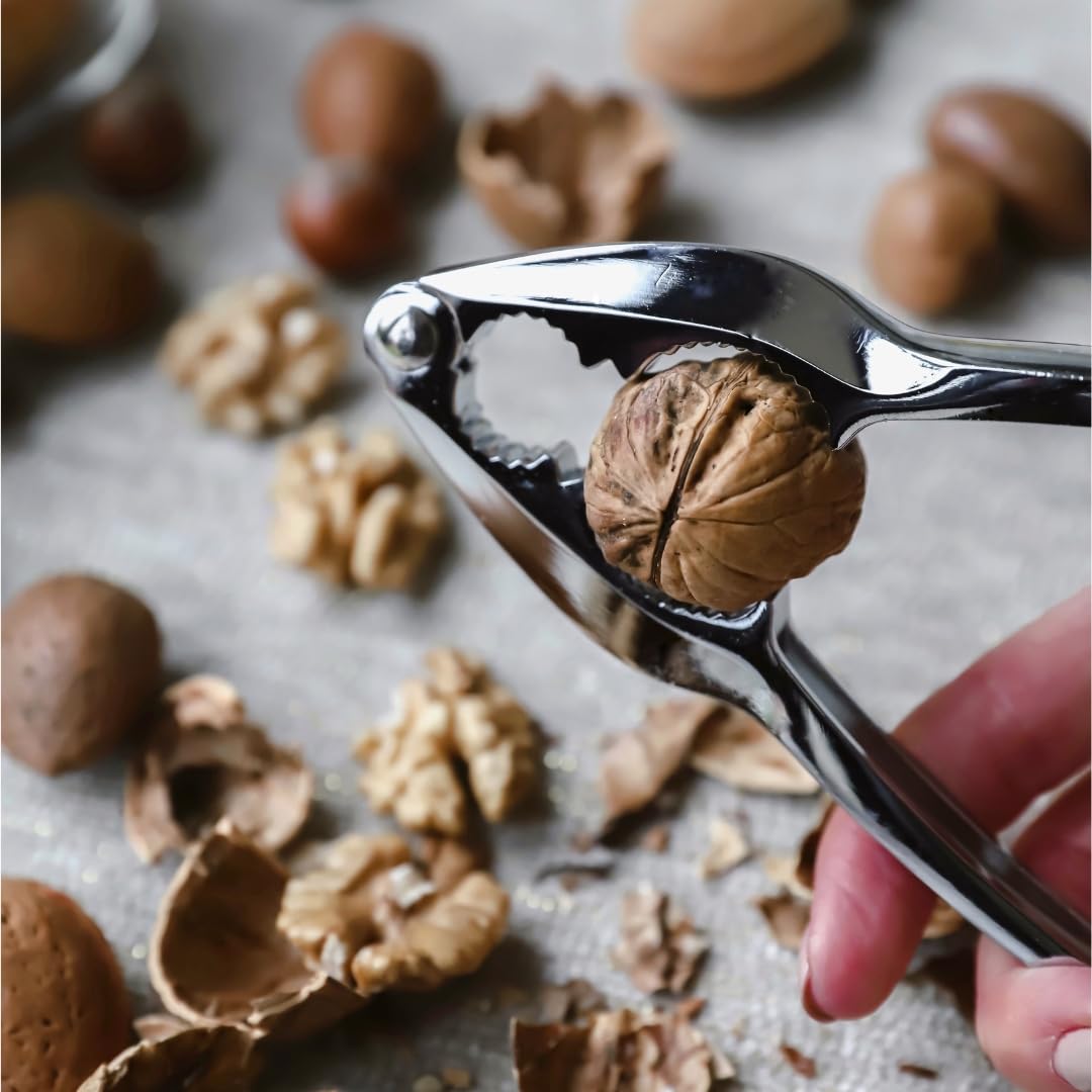 Tala Steel Nutcracker - Traditional Design for Almonds, Walnuts, and Shellfish | Metal Construction 4