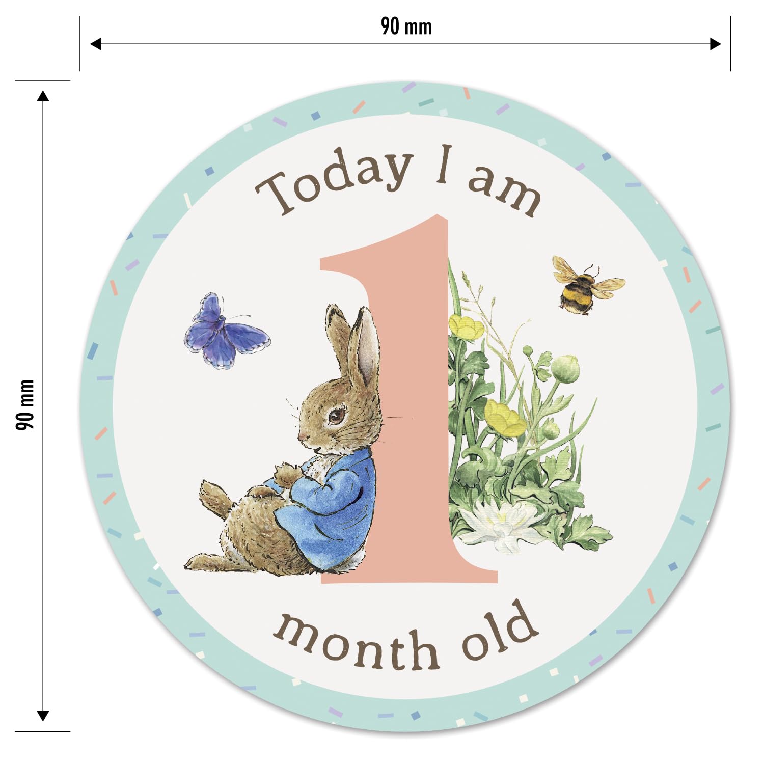 Paper Projects Peter Rabbit Baby Milestone Stickers - 24 Count | Multi Color | Paper Material 6