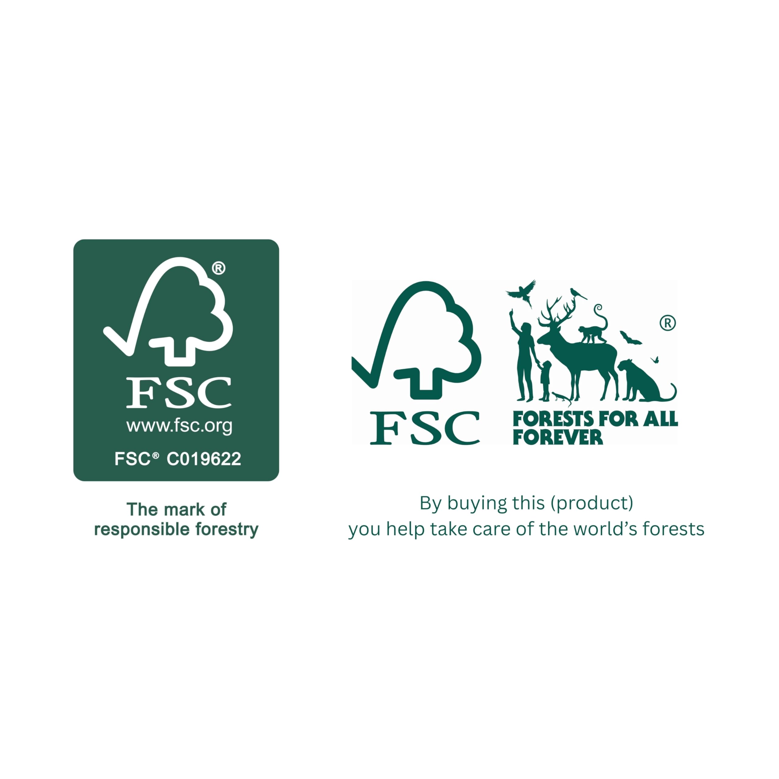 Tala Lemon Reamer - Durable Beechwood Handheld Tool | Contoured Grip | FSC Certified 7