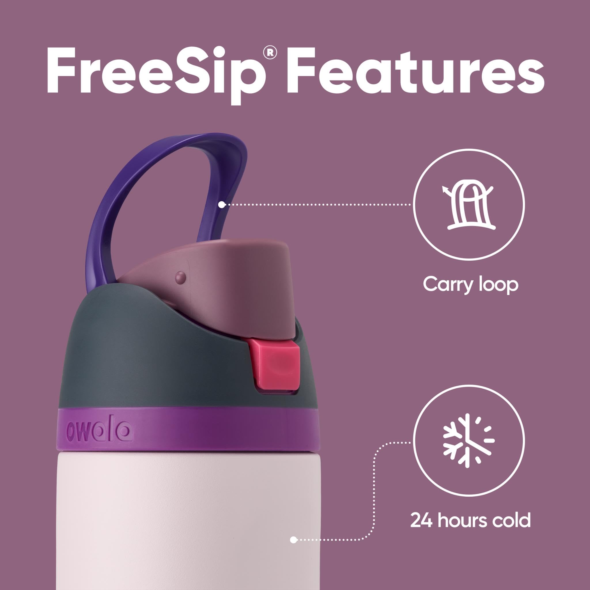 Owala FreeSip Insulated Stainless Steel Water Bottle with Straw, 710ml, Dreamy Field