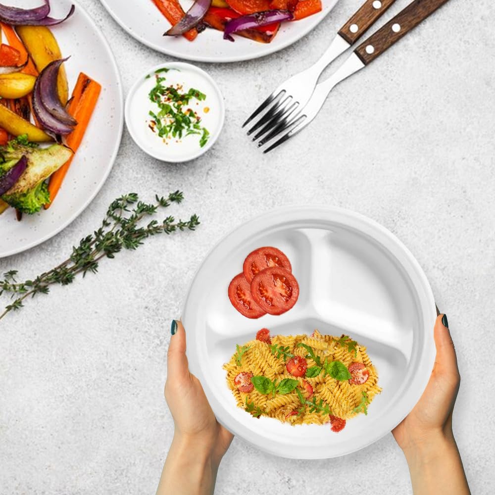 1ABOVE 10 Inch 3 Compartment Disposable Bagasse Plates - 50 Pack | Compostable & Durable 6