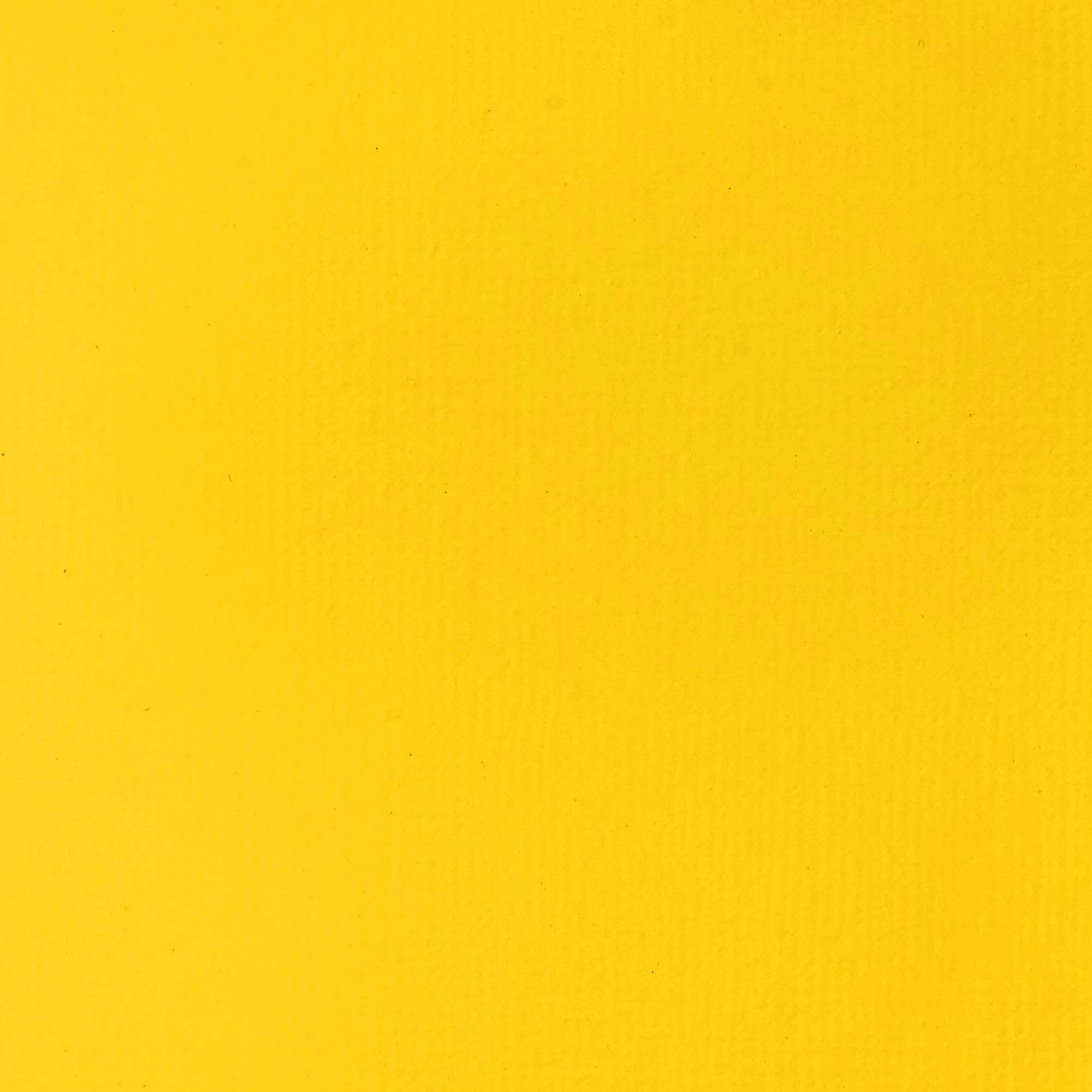 Liquitex BASICS Acrylic Paint - Cadmium Yellow Light Hue | 118 ml Tube | Fade Resistant 2