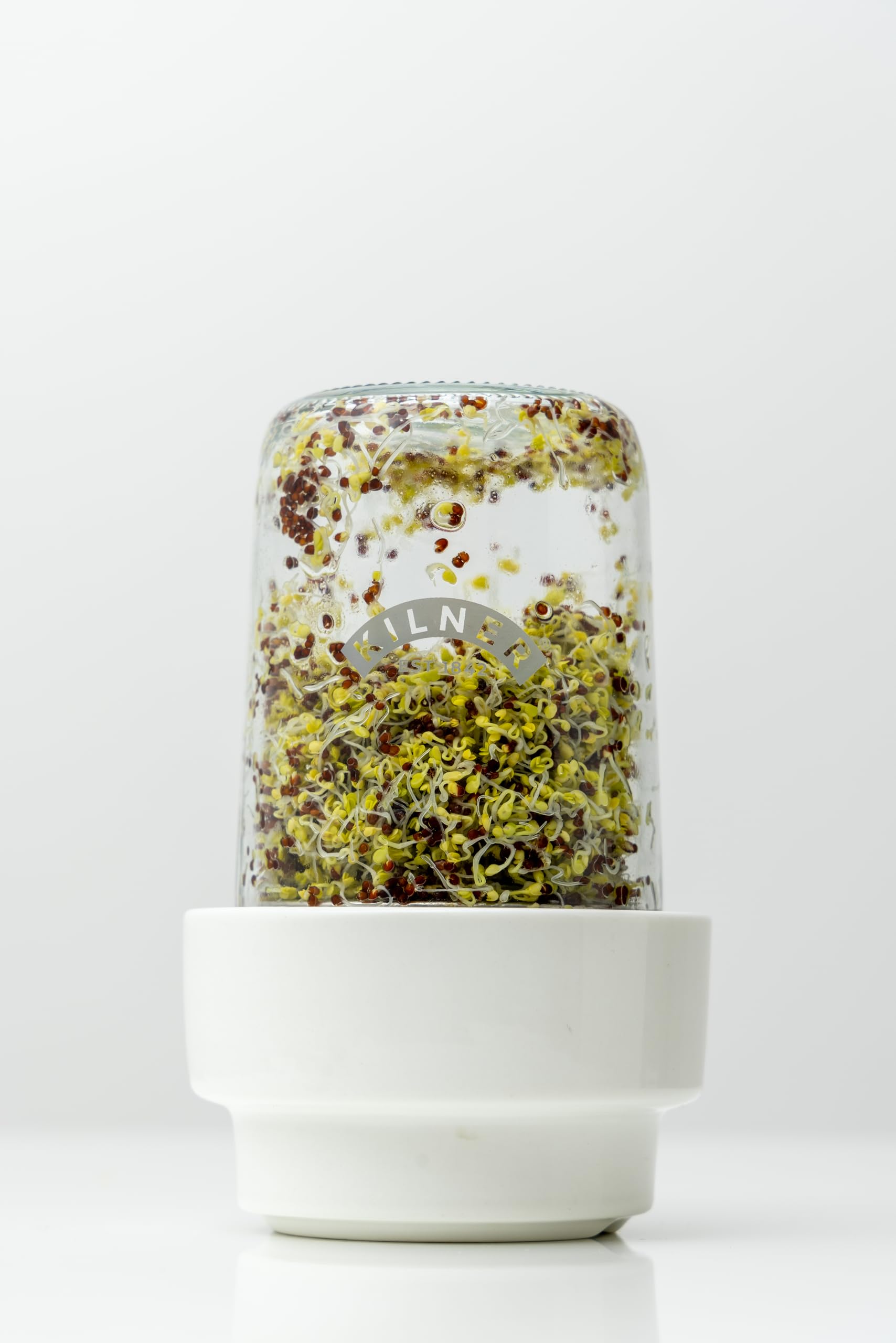Kilner 0.5L Sprouting Set - Glass Jar, Stainless Steel Lid, Ceramic Base | BPA-Free 6