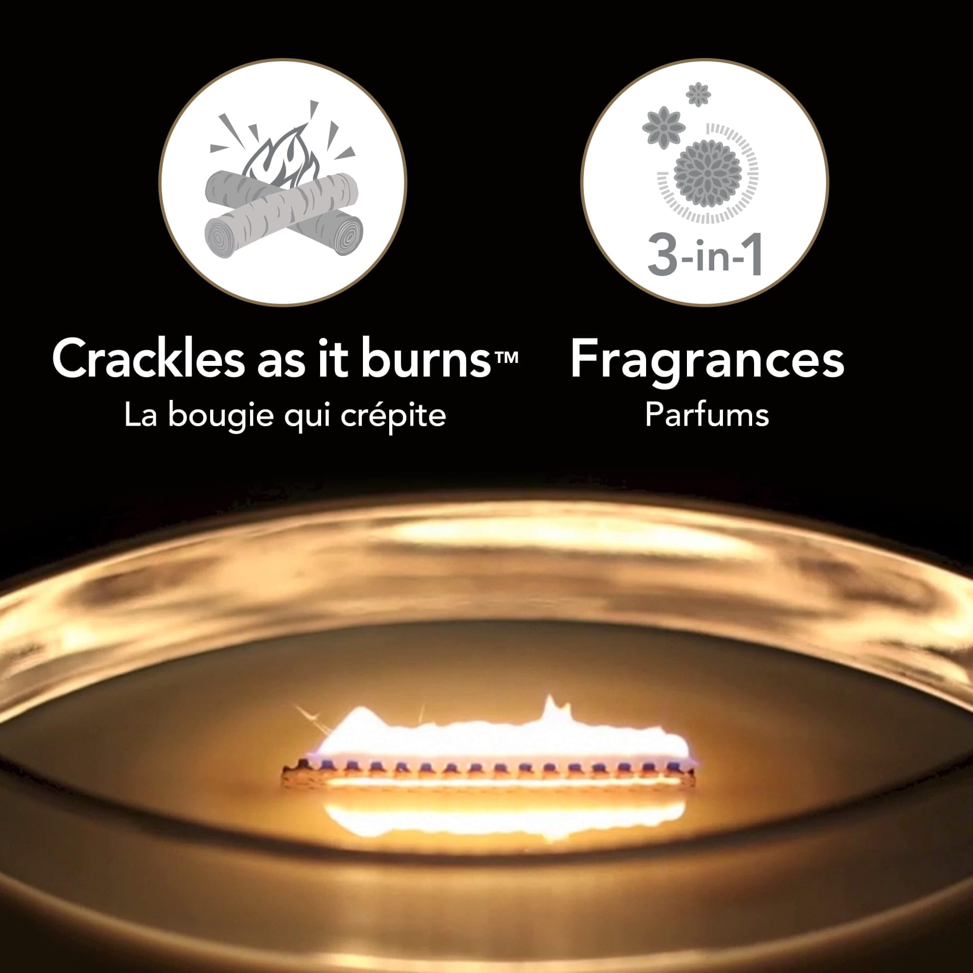 WoodWick Ellipse Trilogy Scented Candle - Café Sweets | Up to 50 Hours Burn Time 5