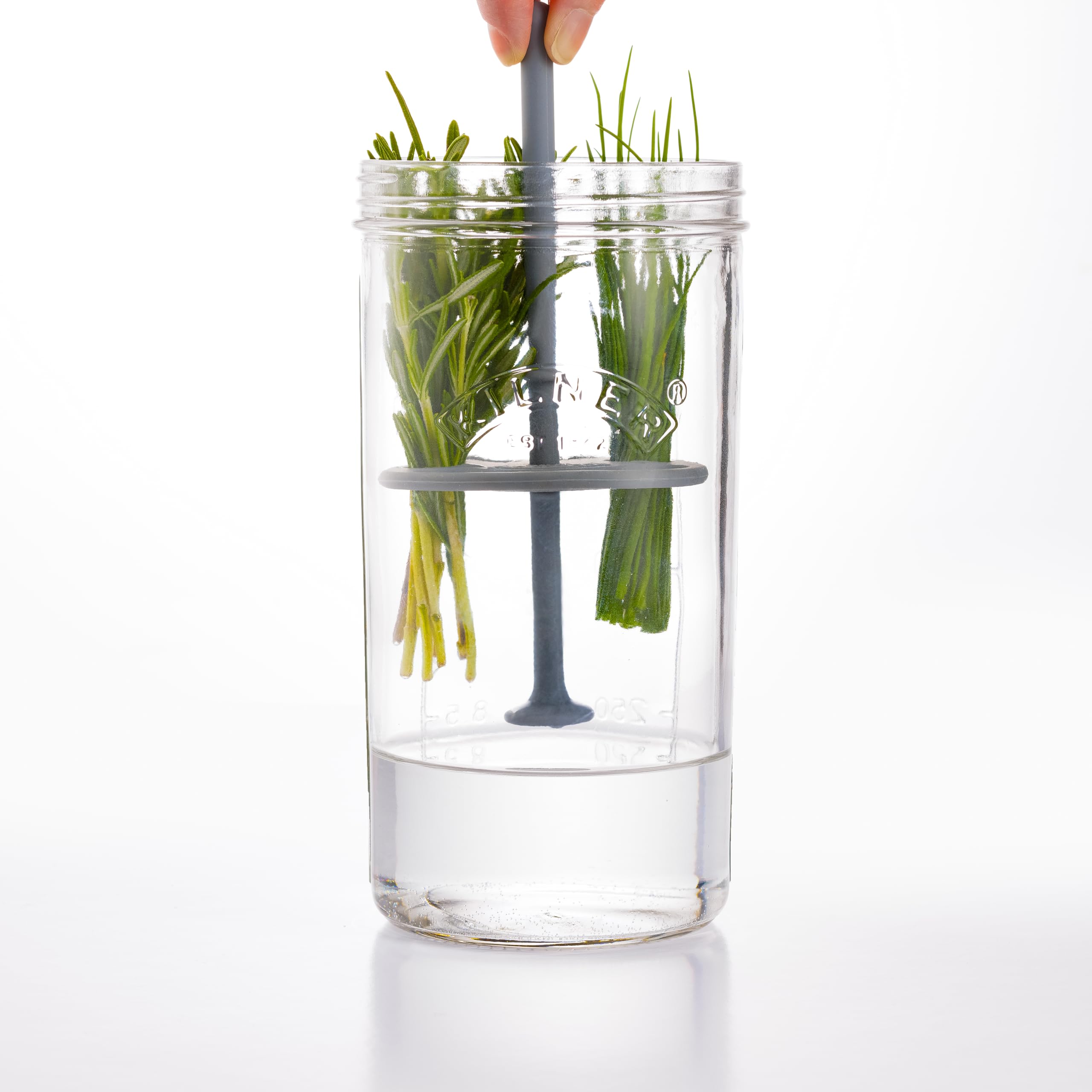 Kilner Herb Keeper Set - Keeps Herbs Fresh Up to 3 Weeks | 1L Wide Mouth Jar with Stainless Steel Lid 7