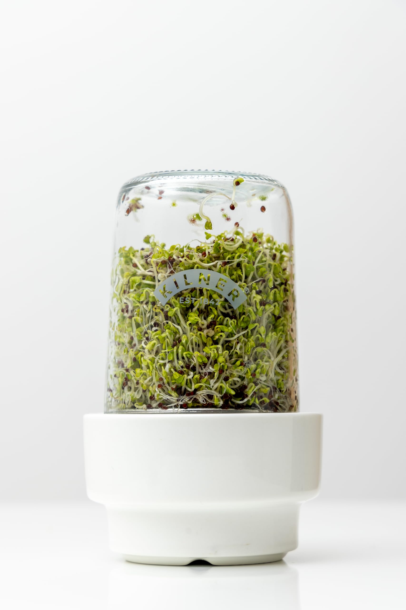 Kilner 0.5L Sprouting Set - Glass Jar, Stainless Steel Lid, Ceramic Base | BPA-Free 7