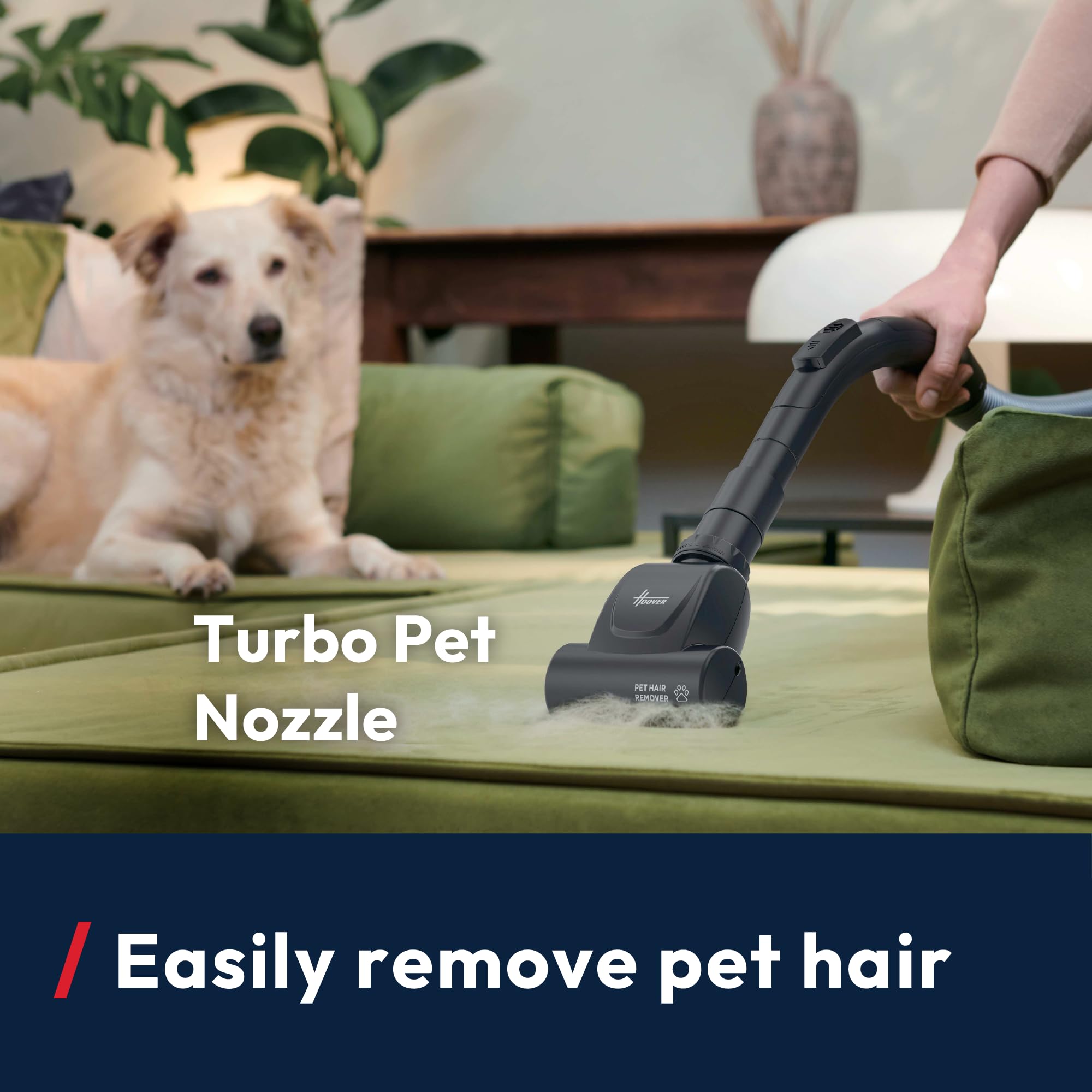 Hoover HP1 Pet Powerful Bagless Cylinder Vacuum Cleaner | 2L Capacity | Pet Hair Tool 6