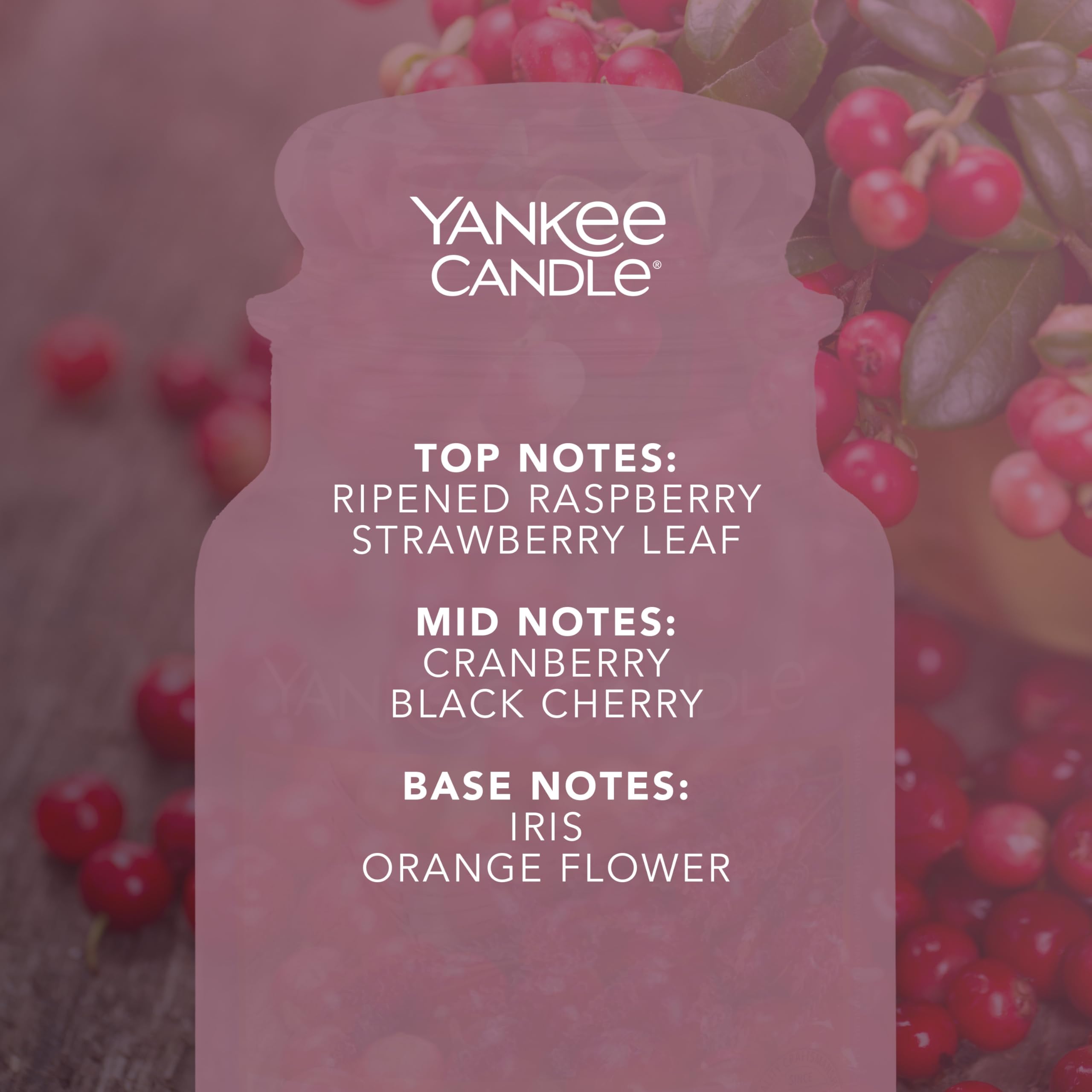 Yankee Candle Scented Candle - Cranberry Chutney Large Jar | Up to 150 Hours | 623g 3