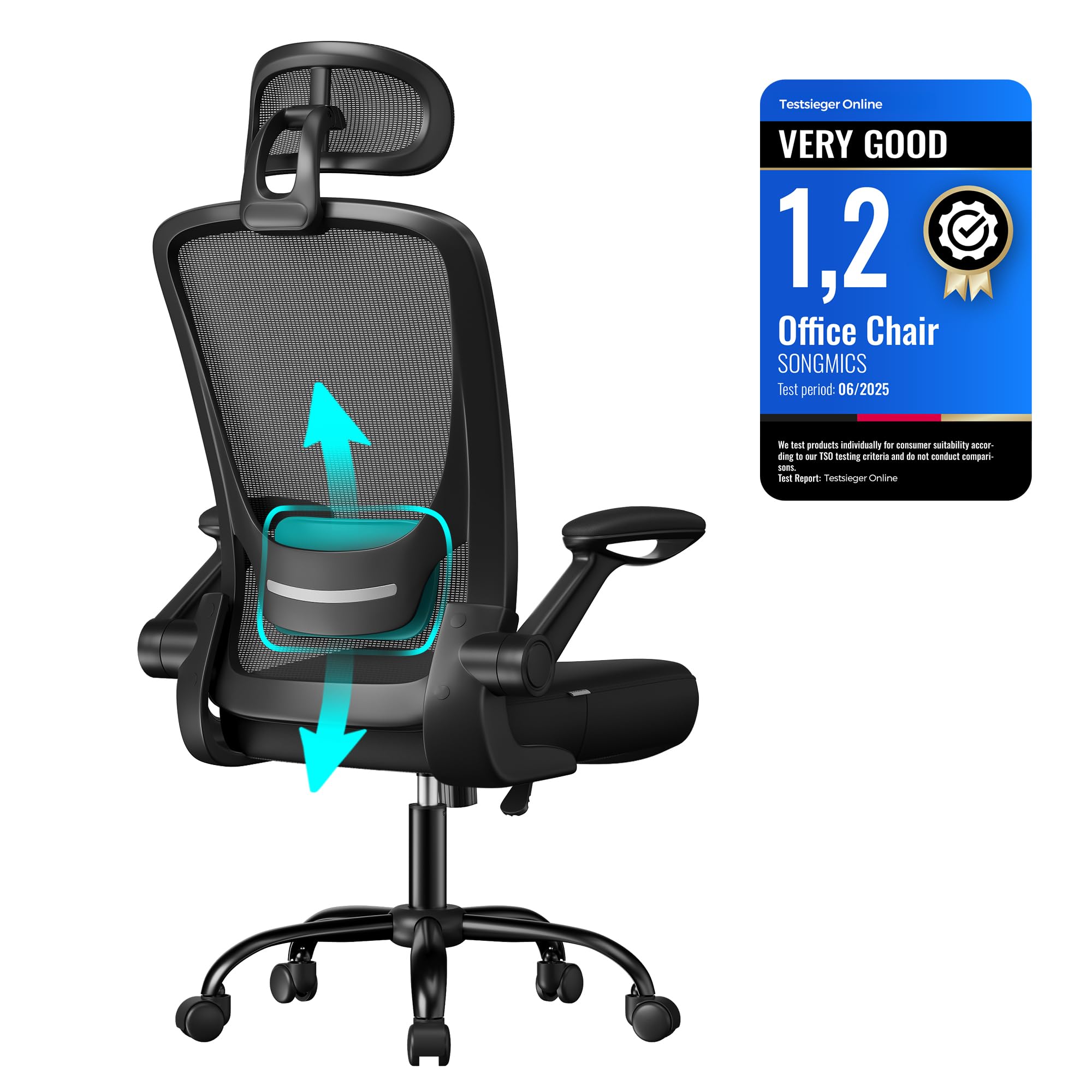SONGMICS Ergonomic Mesh Desk Chair - Adjustable Lumbar & Headrest | 120 kg Capacity | Ink Black