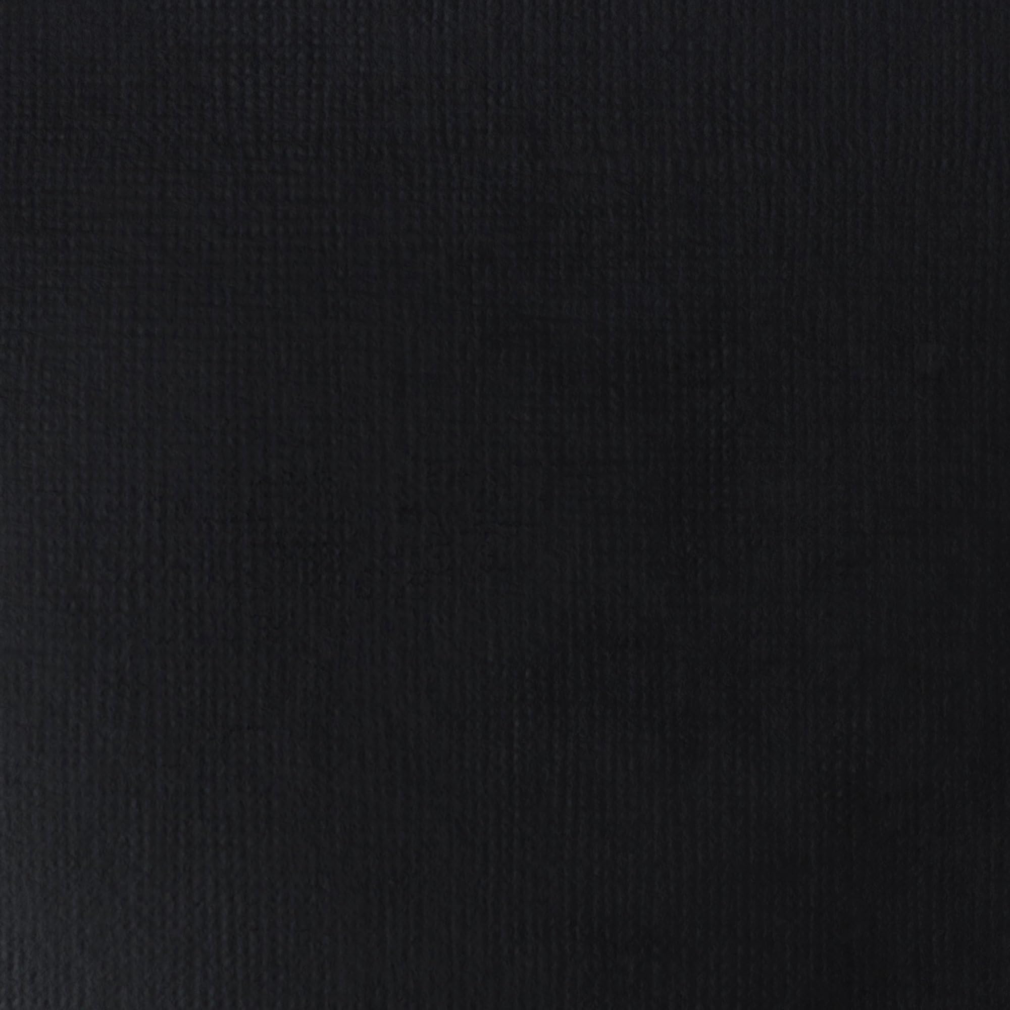 Liquitex BASICS Acrylic Paint - Mars Black | 118 ml Tube | Artist Quality Pigments 2