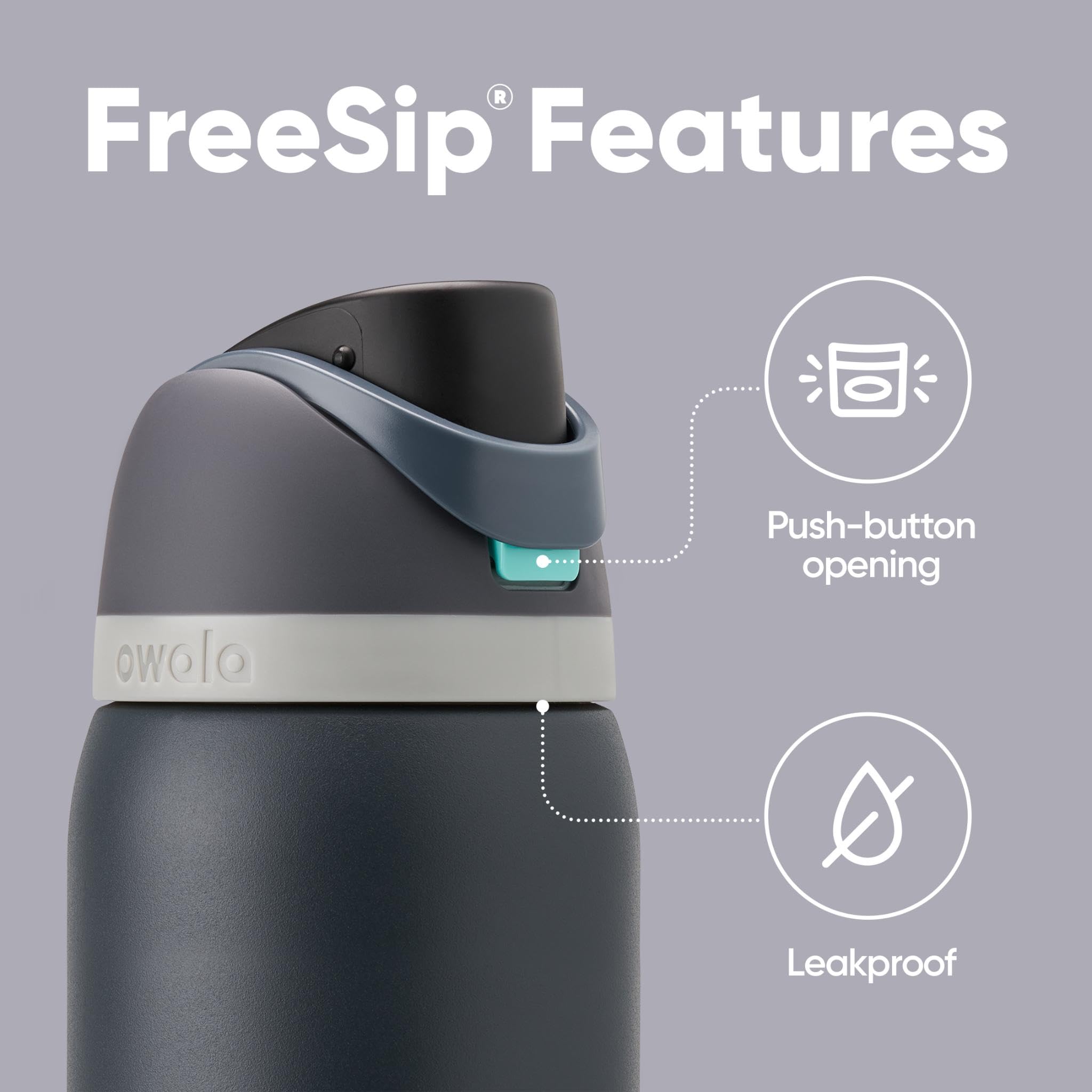 Owala FreeSip Insulated Stainless Steel Water Bottle with Straw, 945ml, Foggy Tide 3