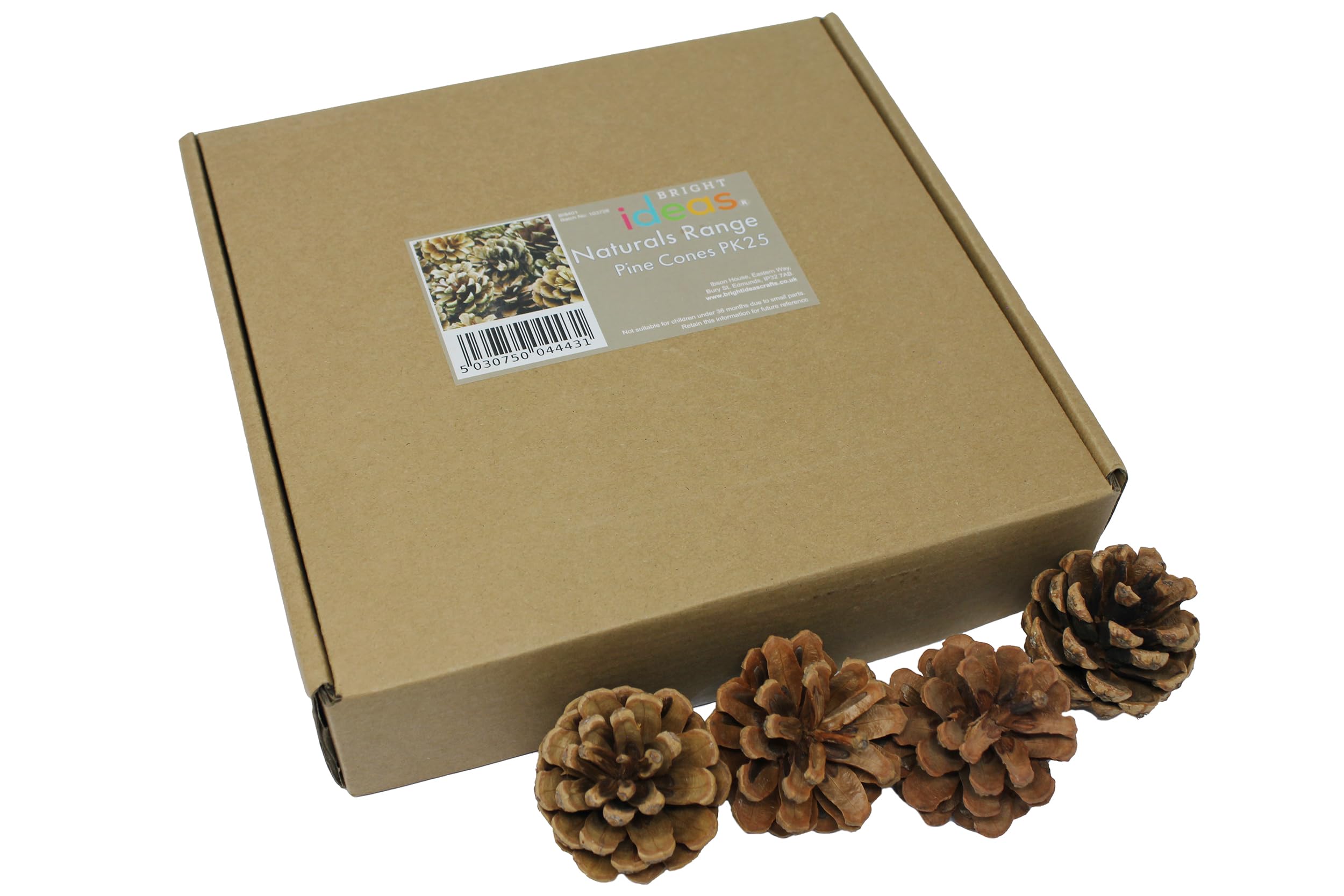 Bright Ideas Natural Pine Cones - 25 Pack, 4-6cm Size | Natural Wood for Crafts & Decor 4
