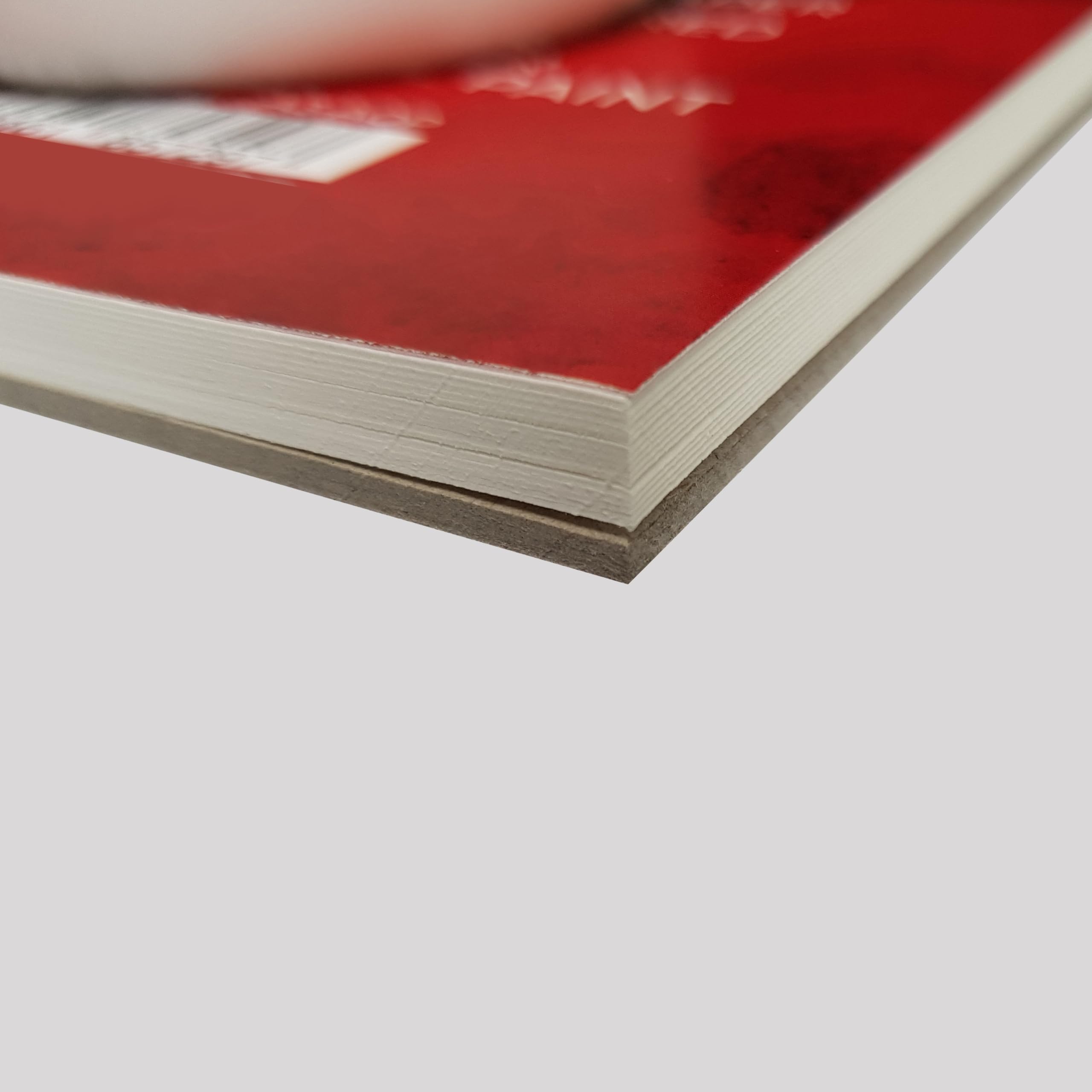 Zieler Linen Textured Painting Pad - 300gsm Paper, 15 Sheets, A3 Size | Ivory 3