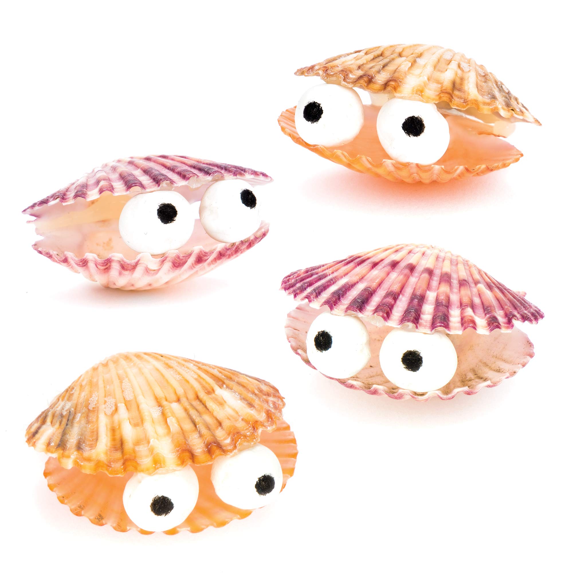 Baker Ross Mini Scallop Craft Shells - Natural Assorted Seashells for Kids Arts & Crafts | 250g Bag 3