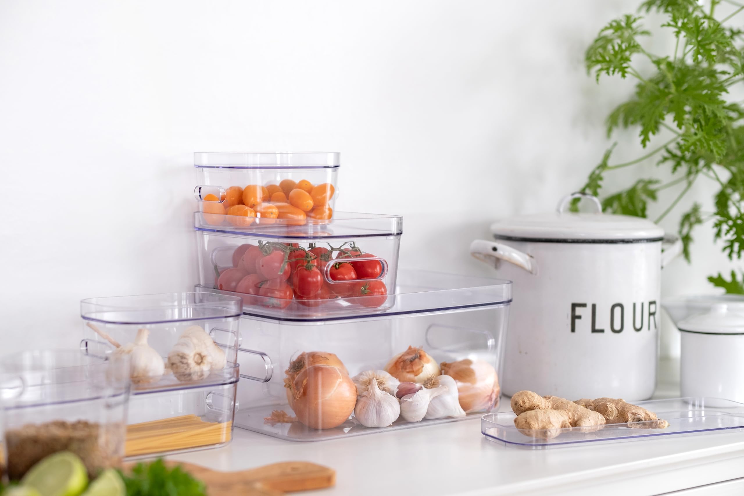 SmartStore Compact Clear Storage Box S - Small Fridge & Kitchen Organizer | 1.5L Capacity | Transparent 7