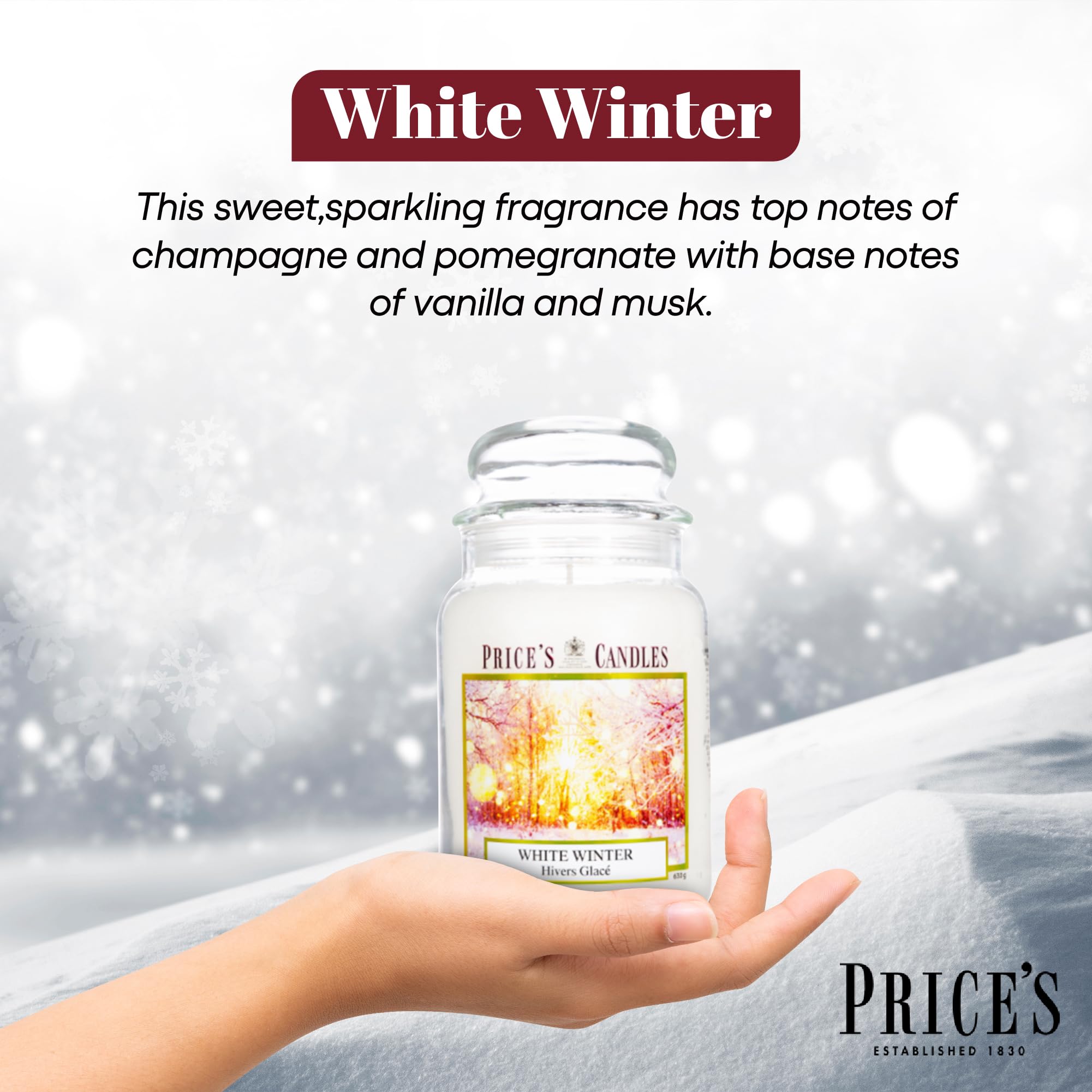 Price's Candles Set of 3 Large Jar Candles - Frosted Fir, Holiday Spice, White Winter 5
