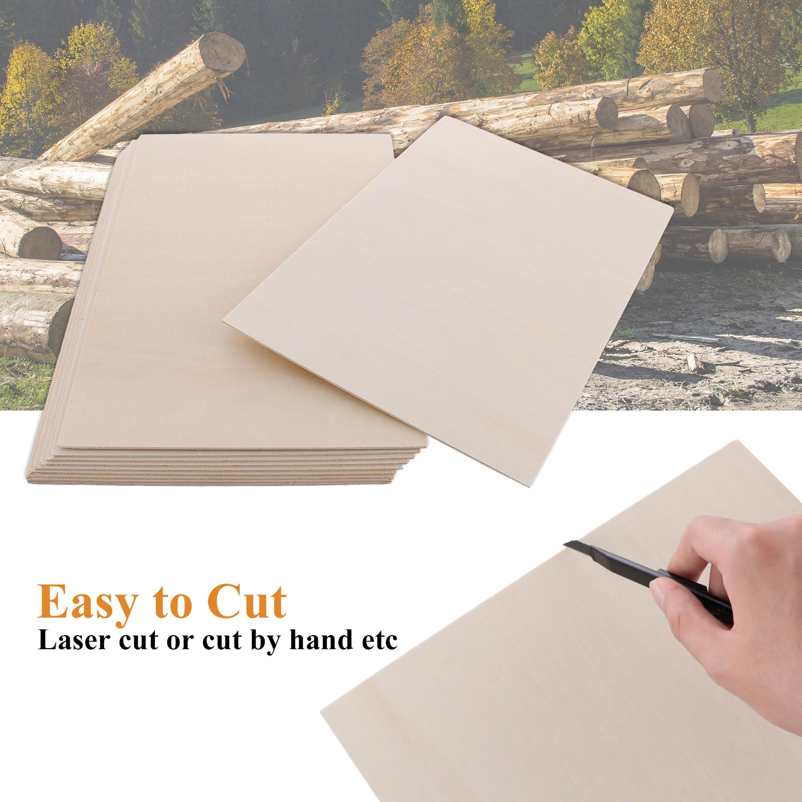 ASelected 10 Pcs Plywood Sheets - Unfinished Basswood for Crafts, Painting, Carving | 300 x 200 x 2 mm 3