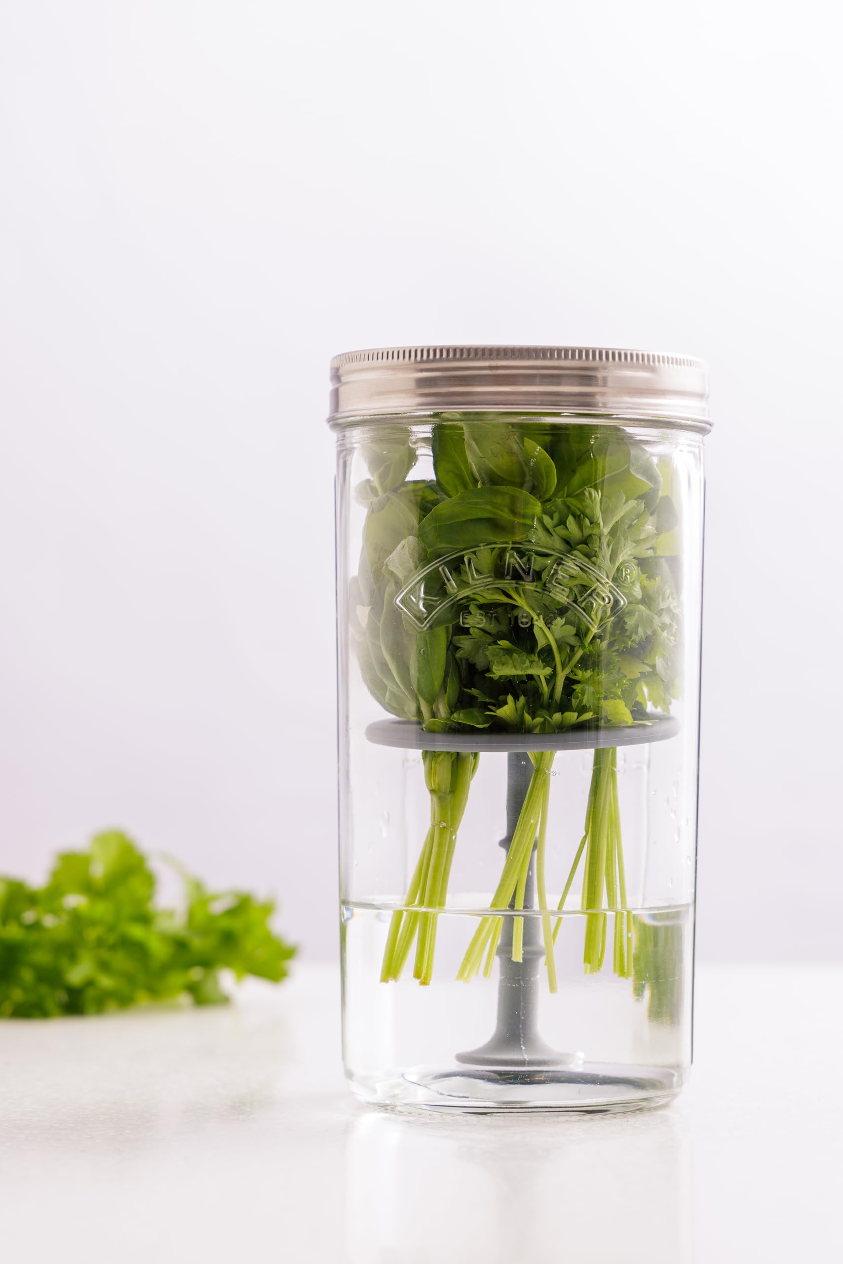 Kilner Herb Keeper Set - Keeps Herbs Fresh Up to 3 Weeks | 1L Wide Mouth Jar with Stainless Steel Lid 6