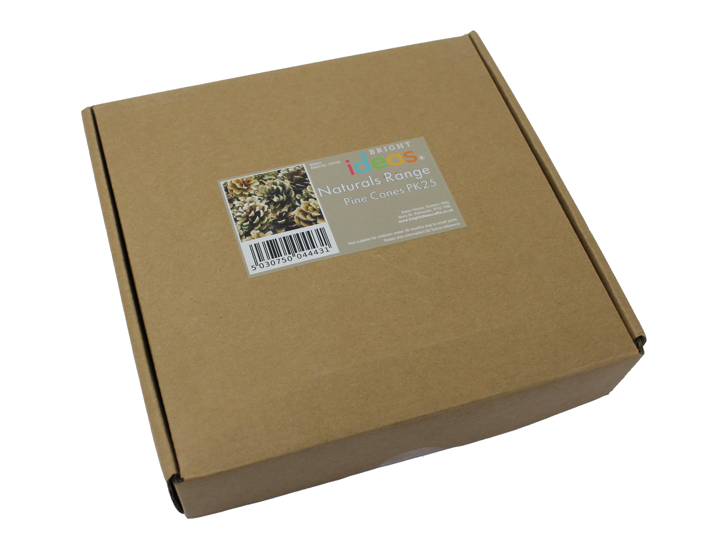 Bright Ideas Natural Pine Cones - 25 Pack, 4-6cm Size | Natural Wood for Crafts & Decor 5