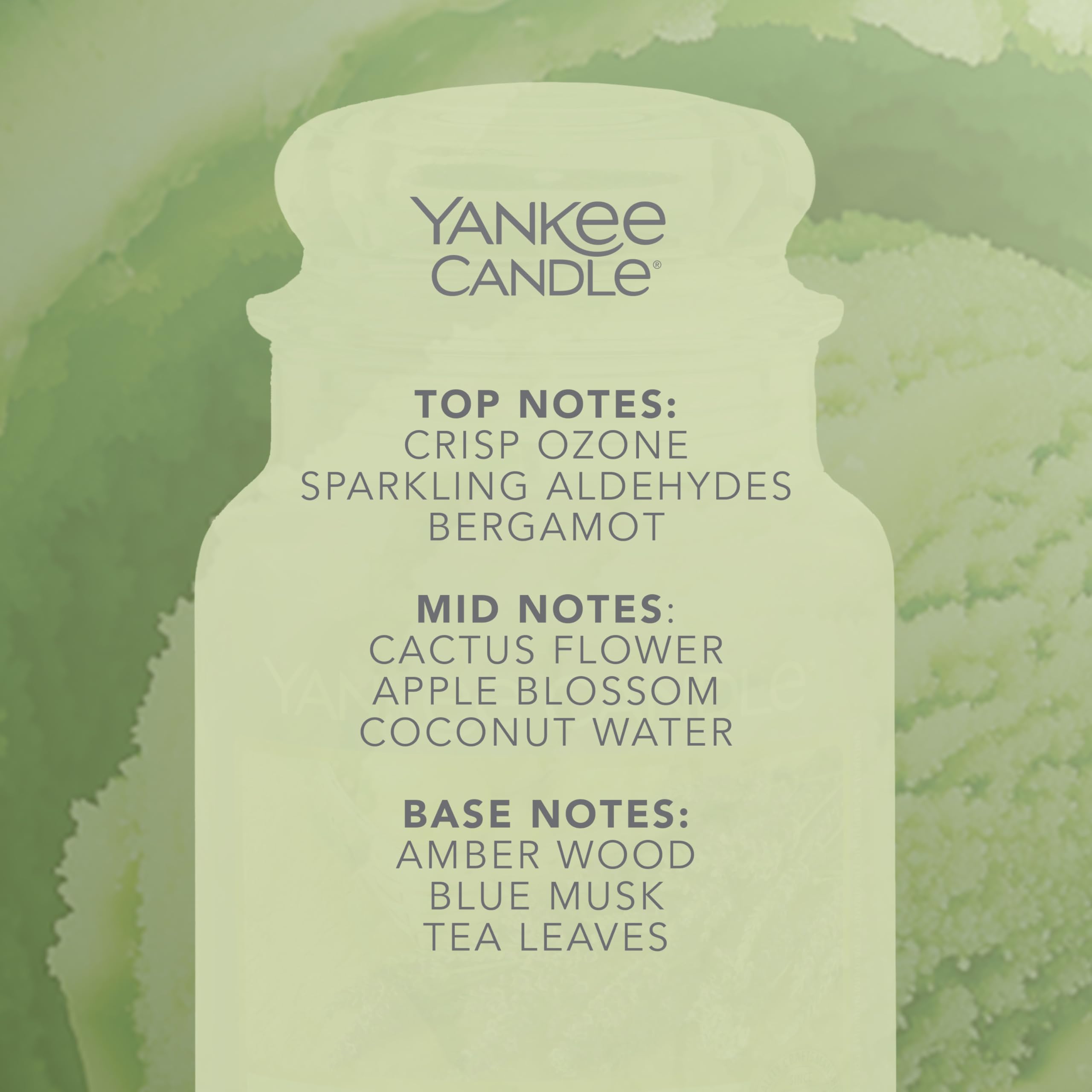 Yankee Candle Scented Candle - Green Apple Sorbet Large Jar | Up to 150 Hours Burn Time | 623g 3