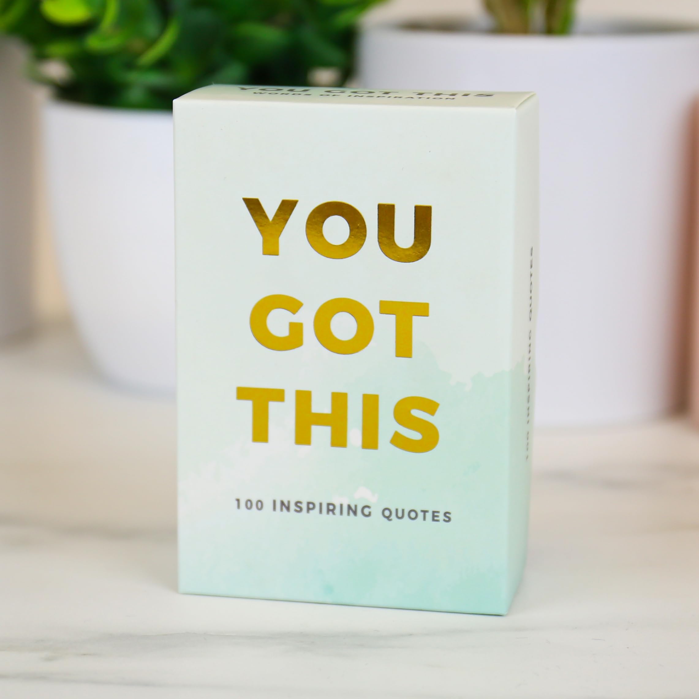 Gift Republic You Got This Inspirational Quotes Cards - 100 Count | Multicolor Card Board 1