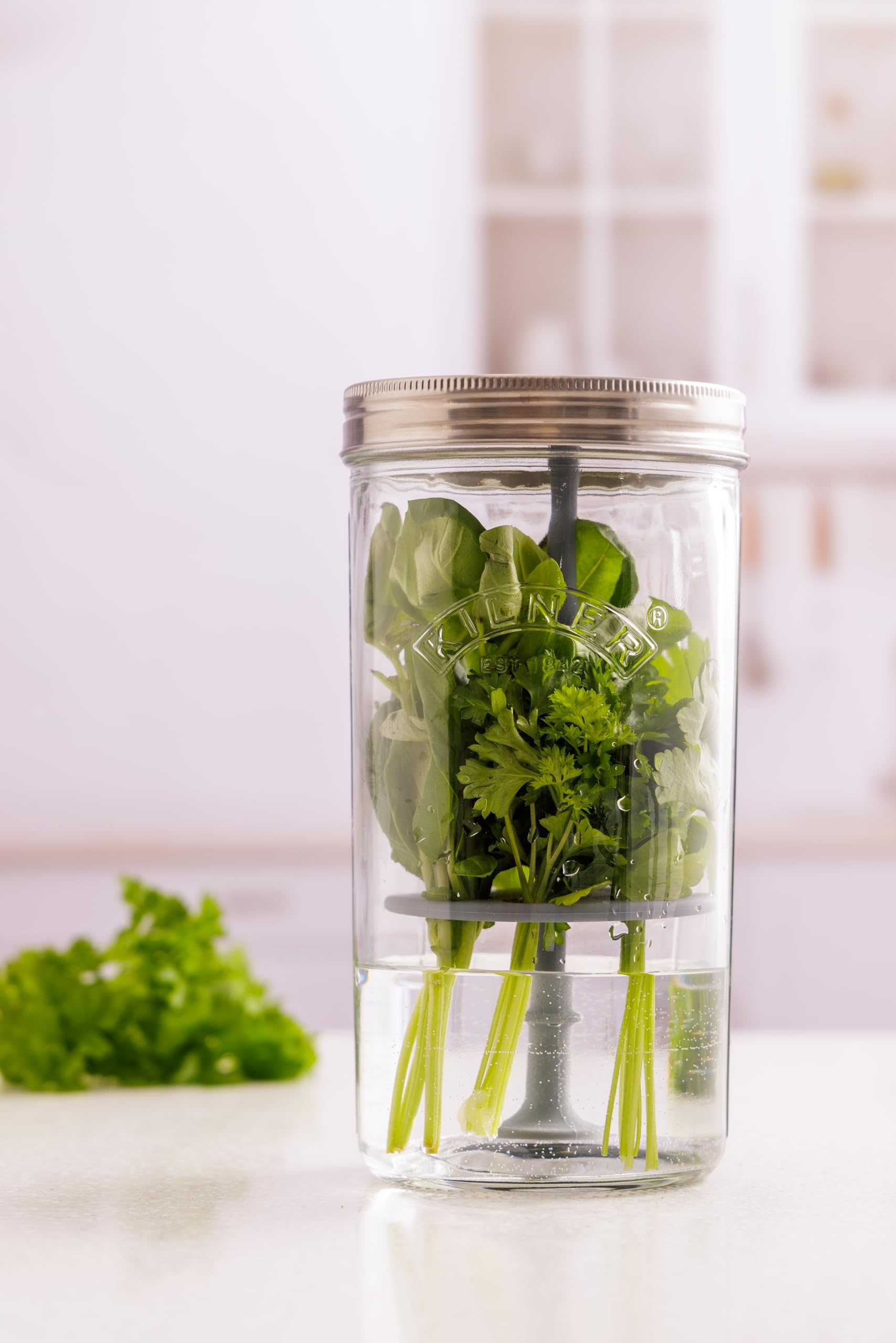 Kilner Herb Keeper Set - Keeps Herbs Fresh Up to 3 Weeks | 1L Wide Mouth Jar with Stainless Steel Lid 3