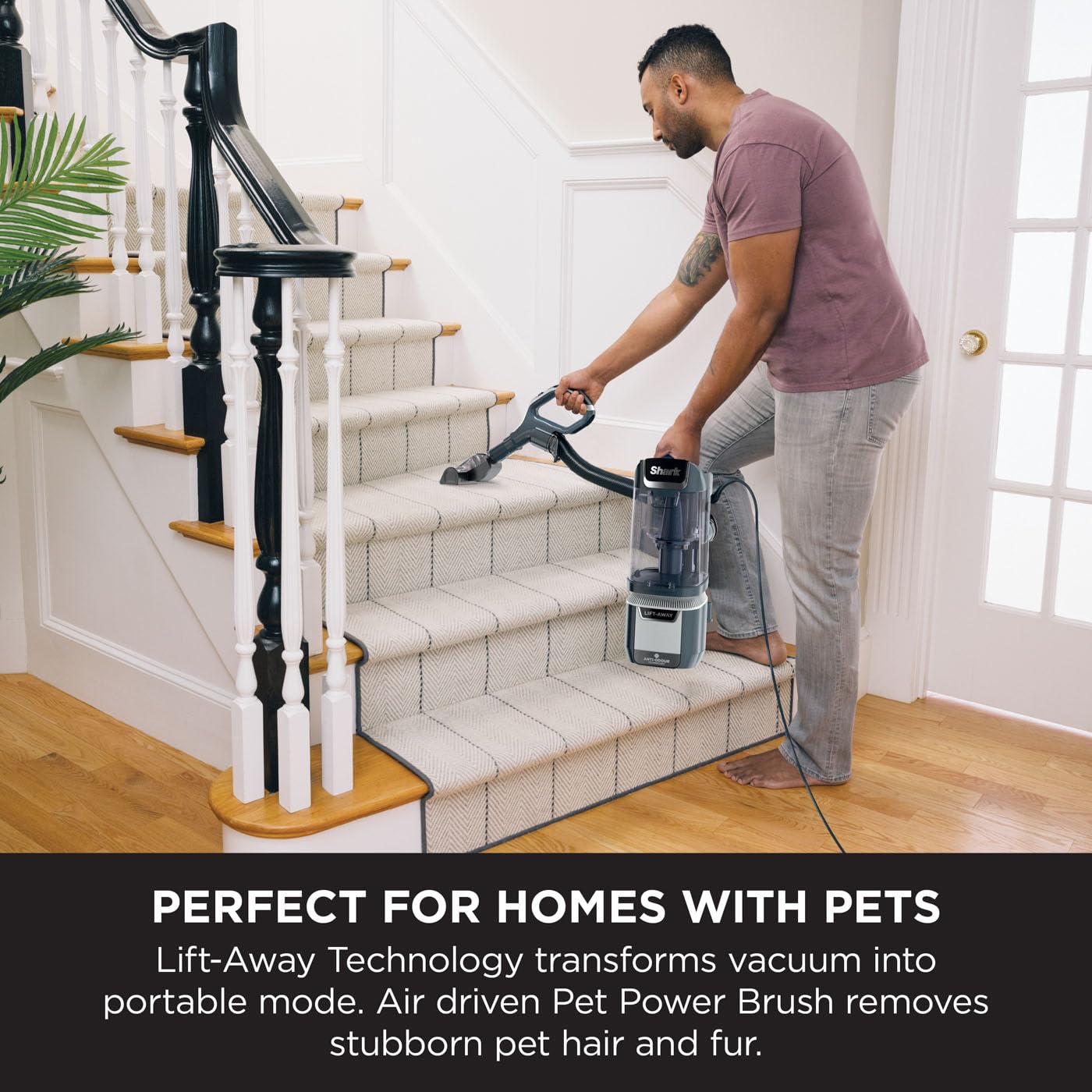 Shark Anti Hair Wrap Plus Upright Corded Pet Vacuum - 2.5L Capacity | Anti-Allergen Seal | 3.4 kg 8