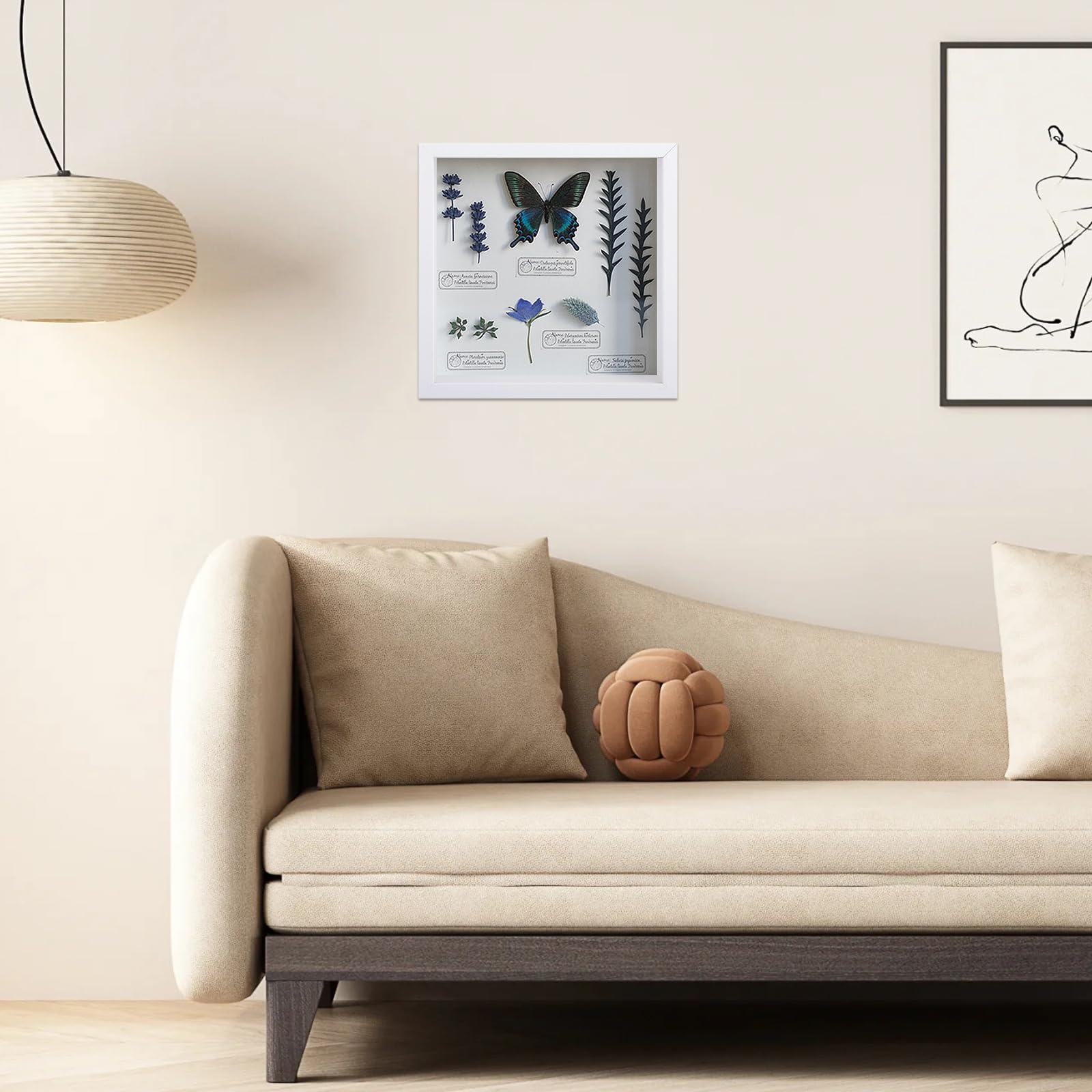 ASelected 3D Shadow Box Frame - 8x8 Inch Deep Display for Wall or Table | White MDF & Acrylic 7