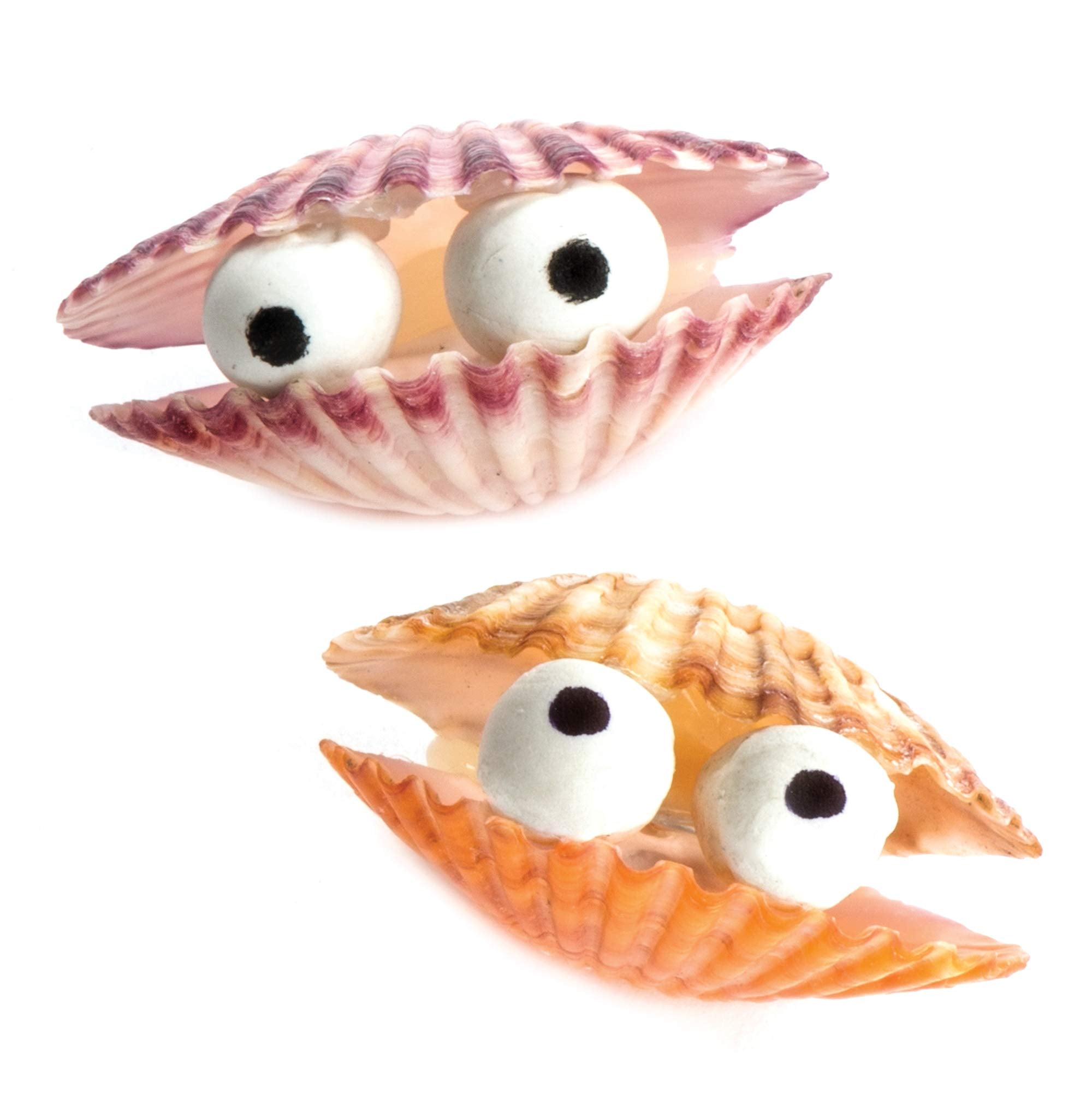 Baker Ross Mini Scallop Craft Shells - Natural Assorted Seashells for Kids Arts & Crafts | 250g Bag 4