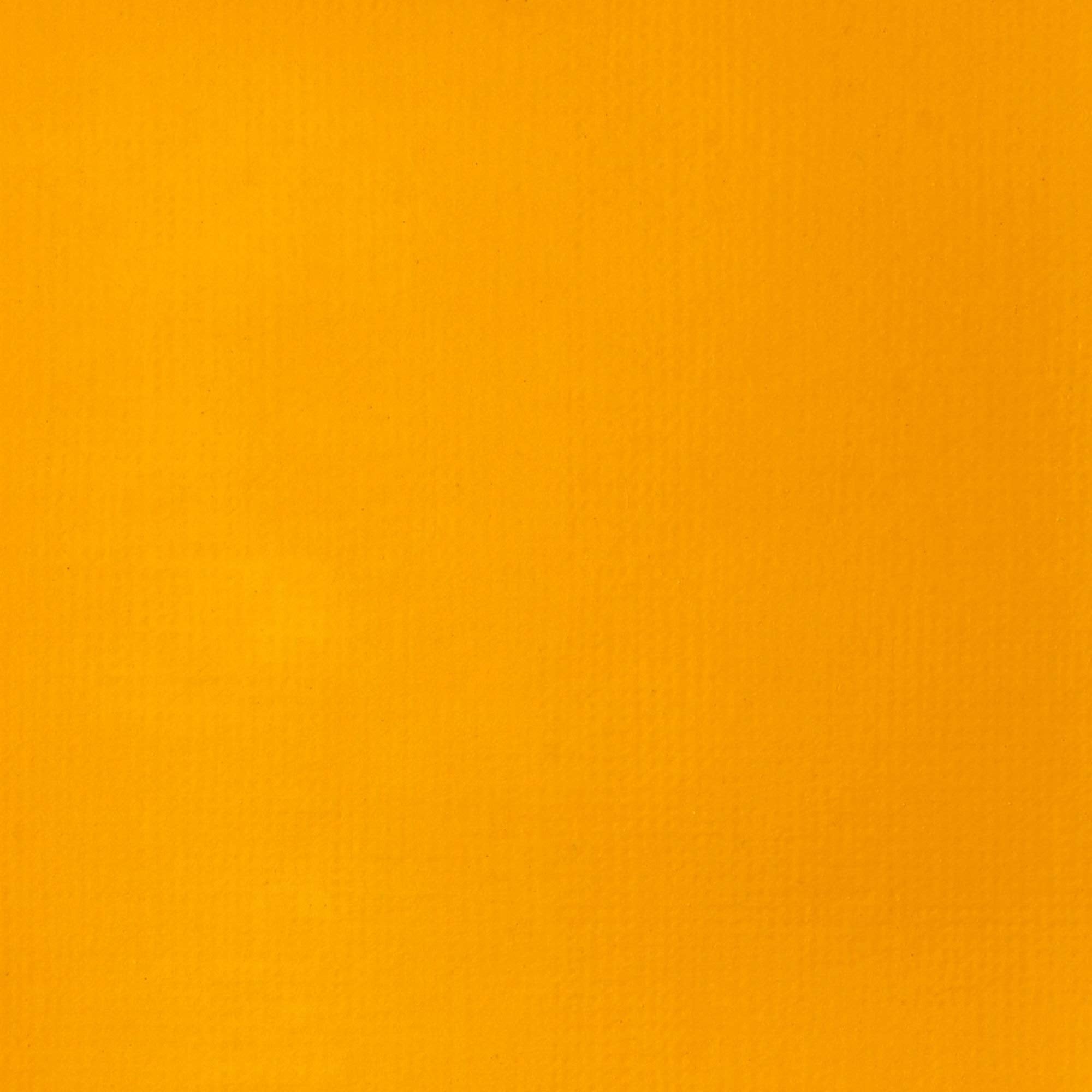 Liquitex Basics Acrylic Paint - Cadmium Yellow Deep Hue | 118 ml Tube | Artist Quality 2