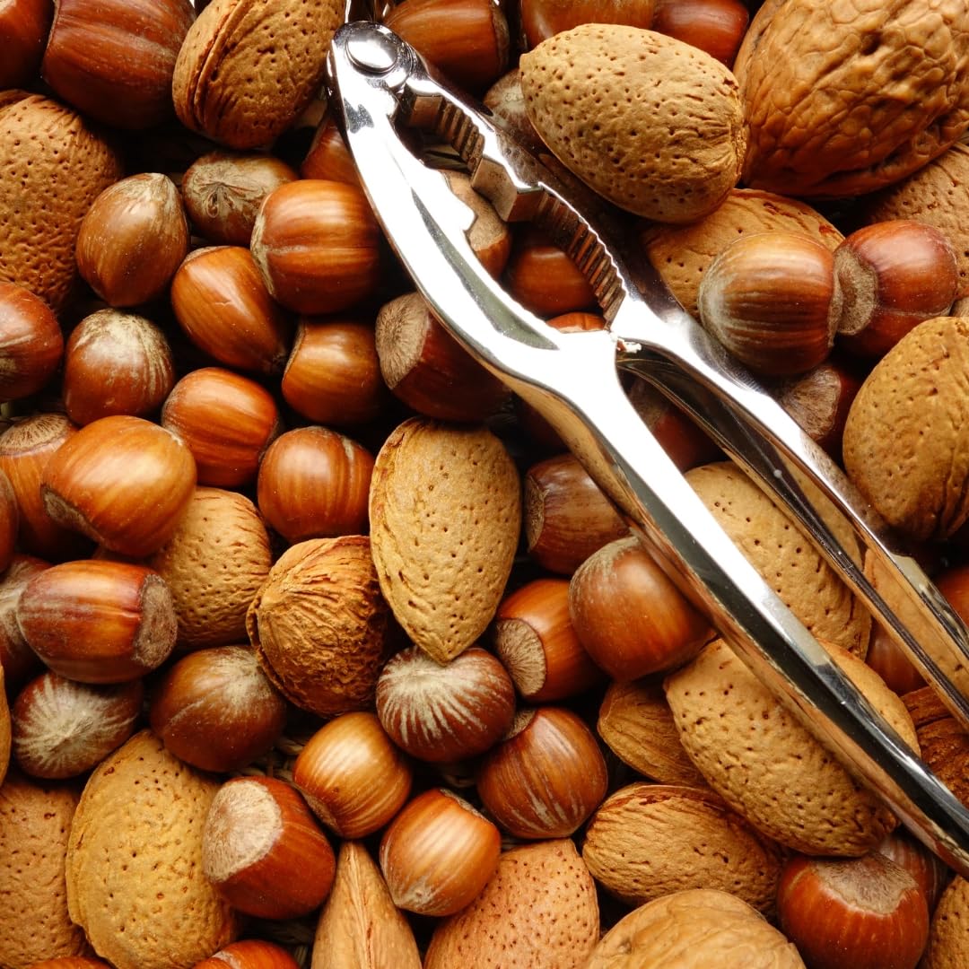 Tala Steel Nutcracker - Traditional Design for Almonds, Walnuts, and Shellfish | Metal Construction 6