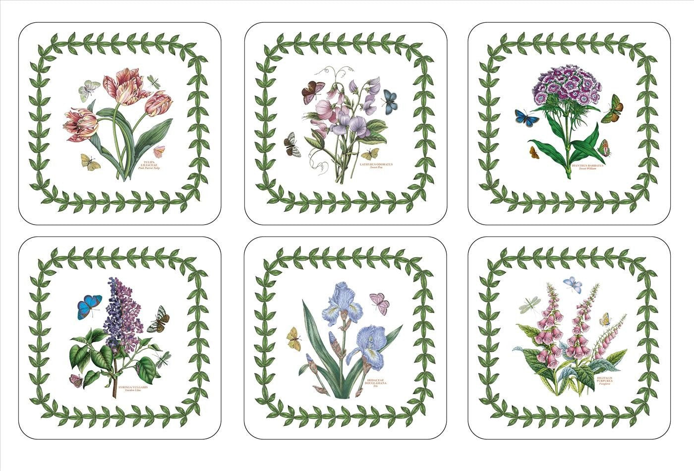 Pimpernel Botanic Garden Coasters - Set of 6 | Cork-Backed | 4 x 4 Inch Square 1